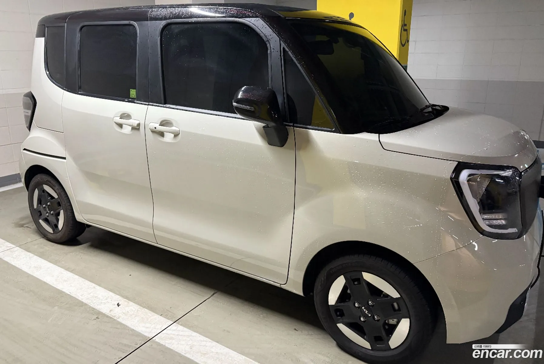 Korex Auto Trade - фотография 12026952