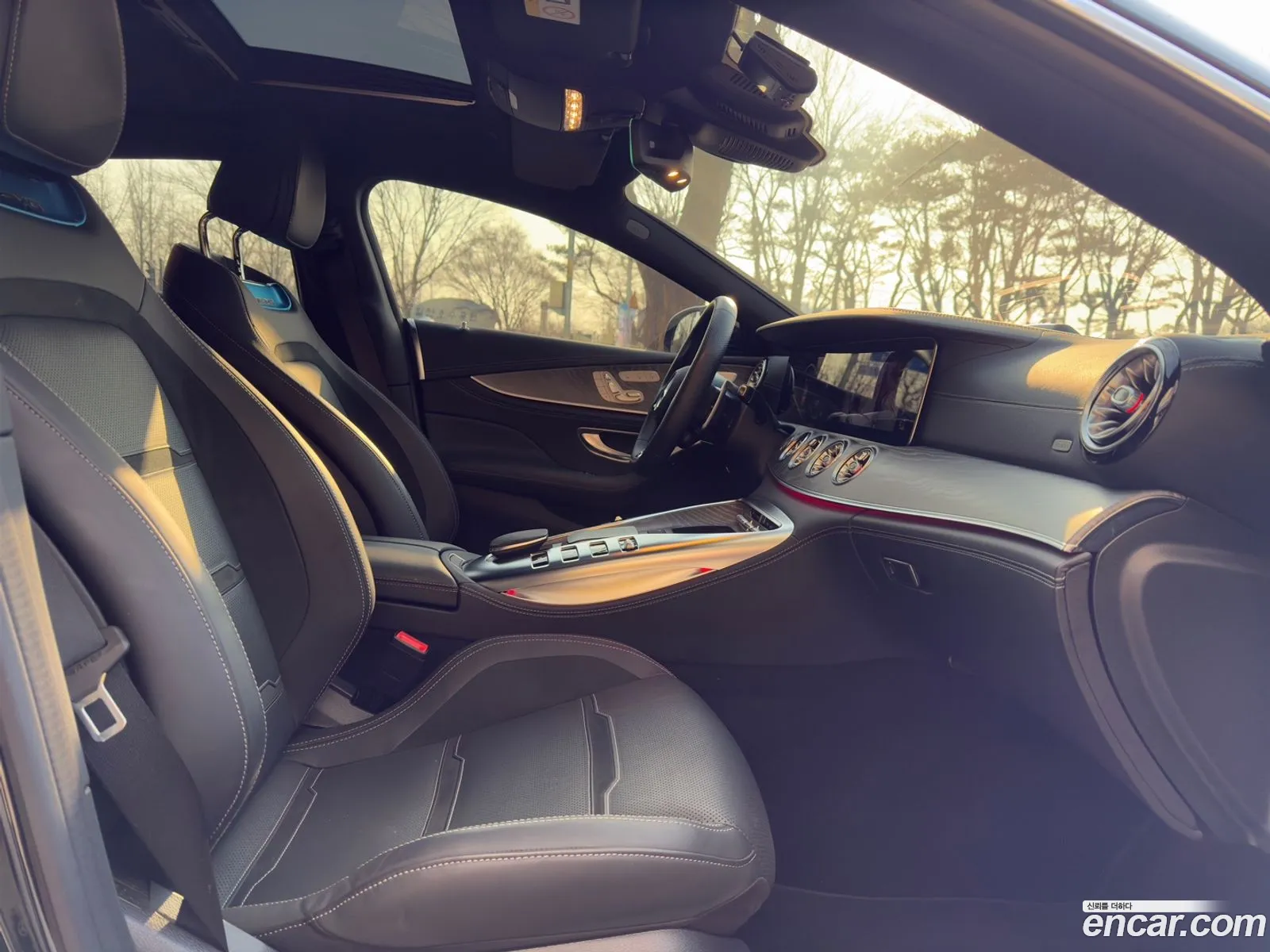 Amg Gt 4 Door 43 4Matic - фотография 11345513