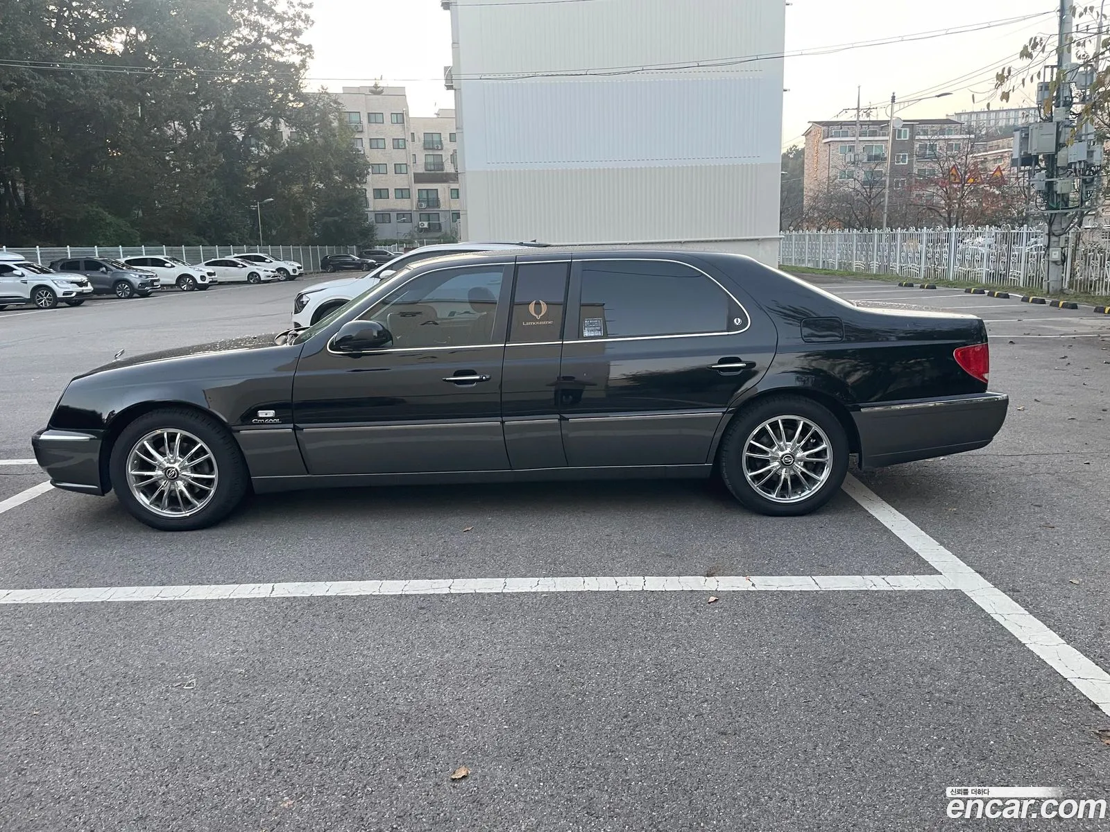 New Chairman Cm600L Limousine - фотография 16626854