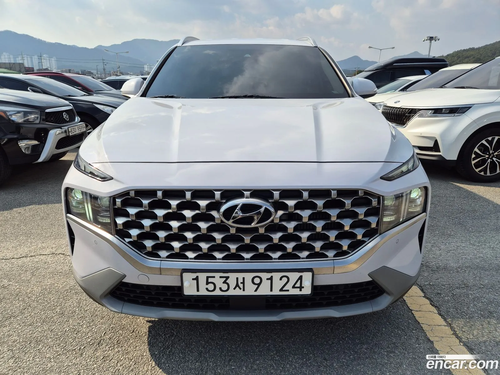 The New Santa Fe Diesel 22 2Wd Prestige - фотография 17753280