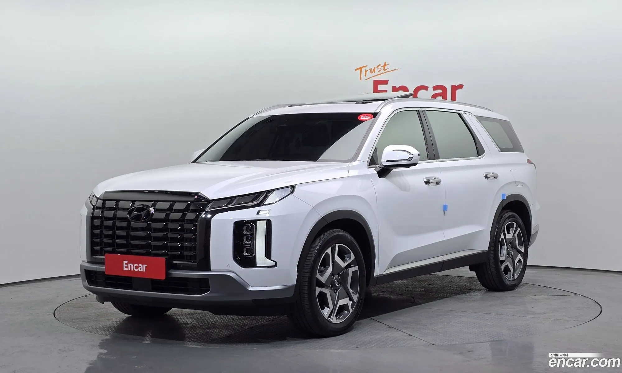 The New Palisade Diesel 22 2Wd Prestige - фотография 1080998