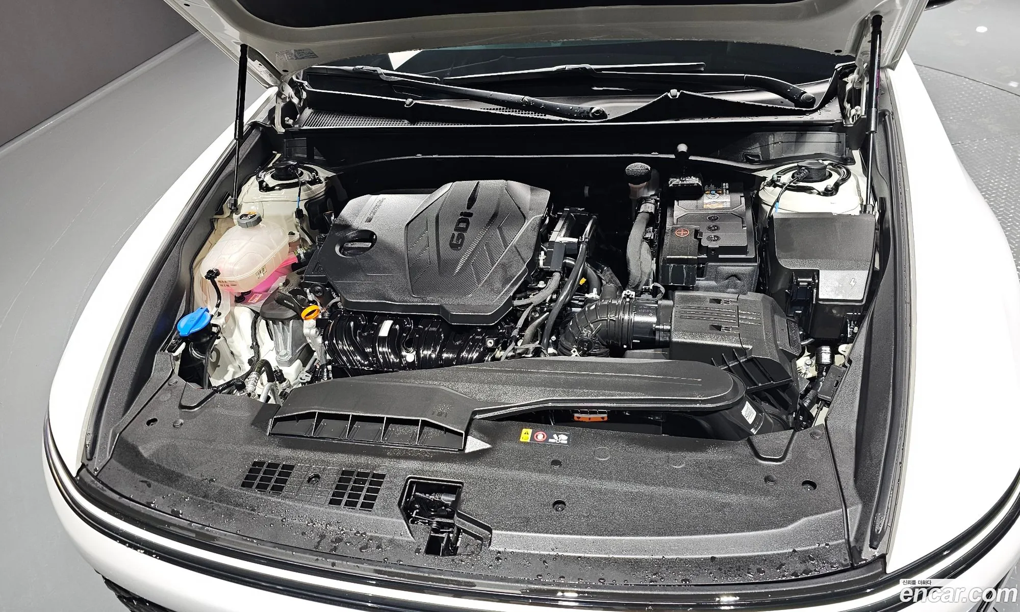 Korex Auto Trade - фотография 17231393