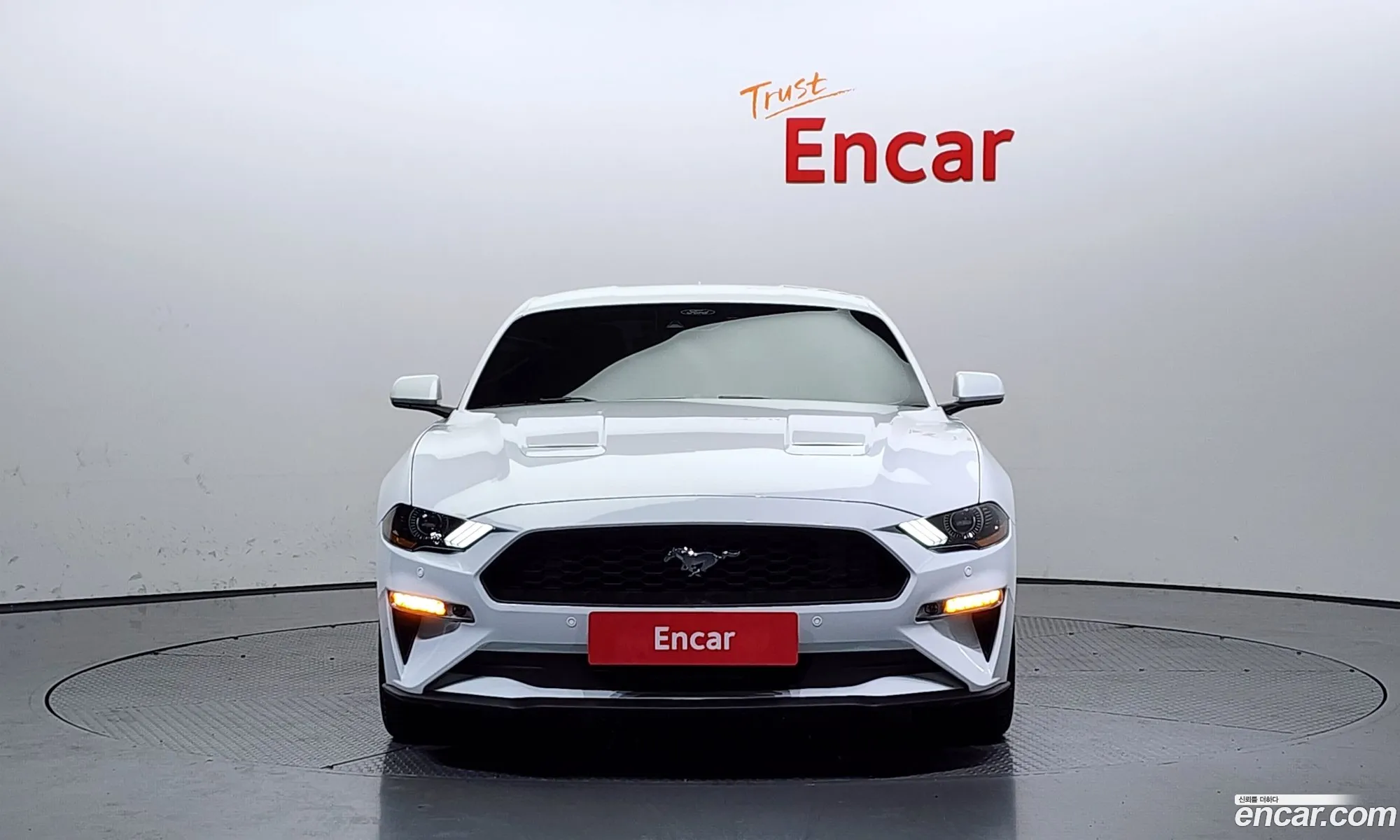 Korex Auto Trade - фотография 14558844