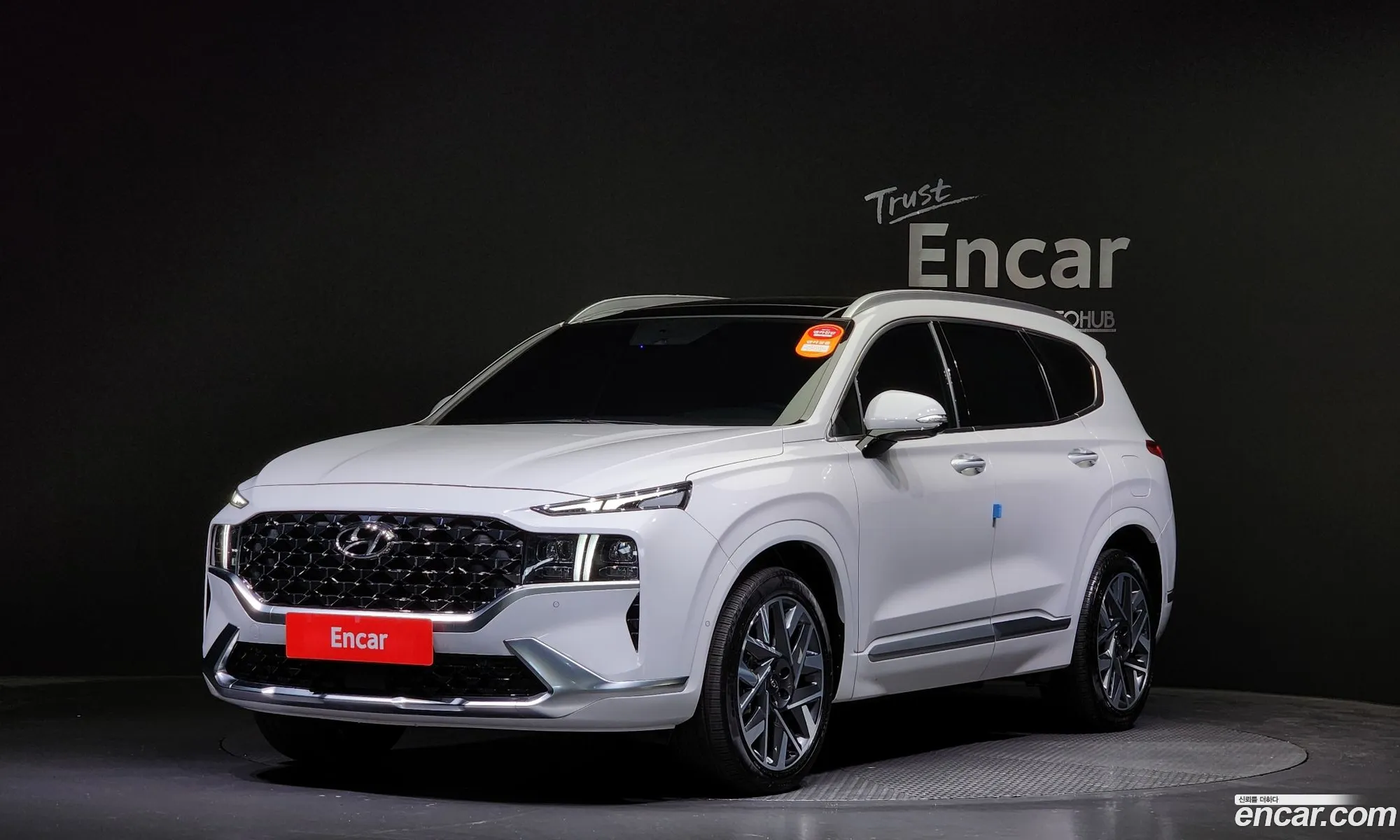 The New Santa Fe Gasoline 25T 4Wd Calligraphy - фотография 14901806