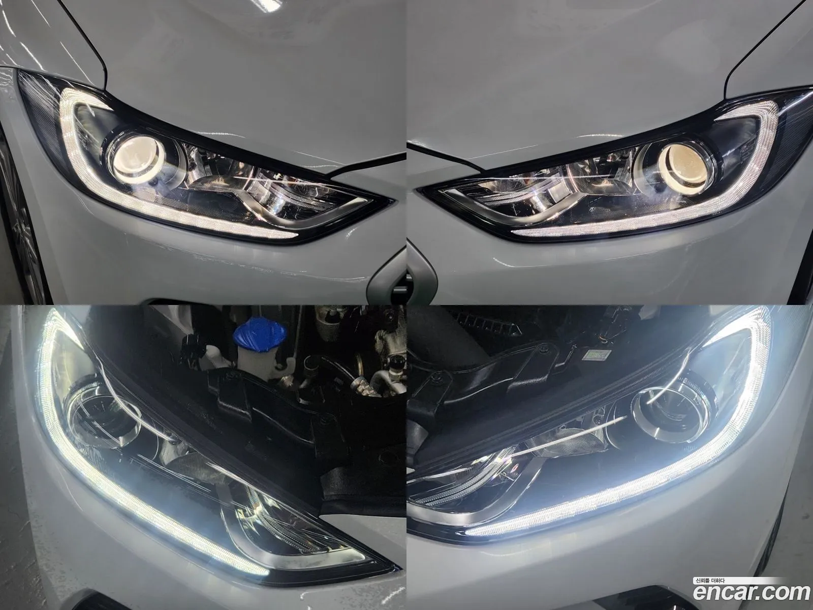 Korex Auto Trade - фотография 15509697