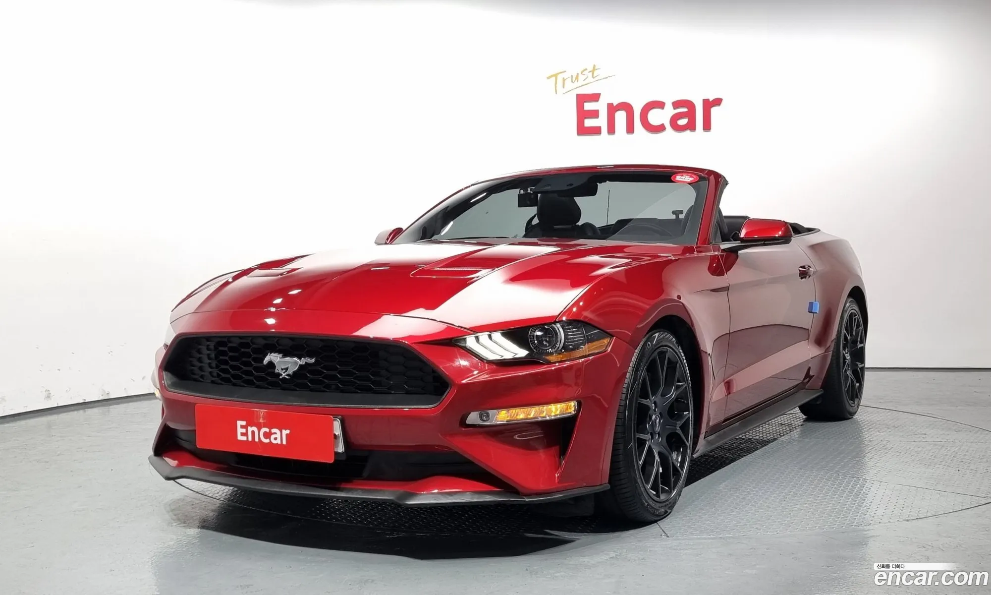 Mustang Converter - фотография 4179993