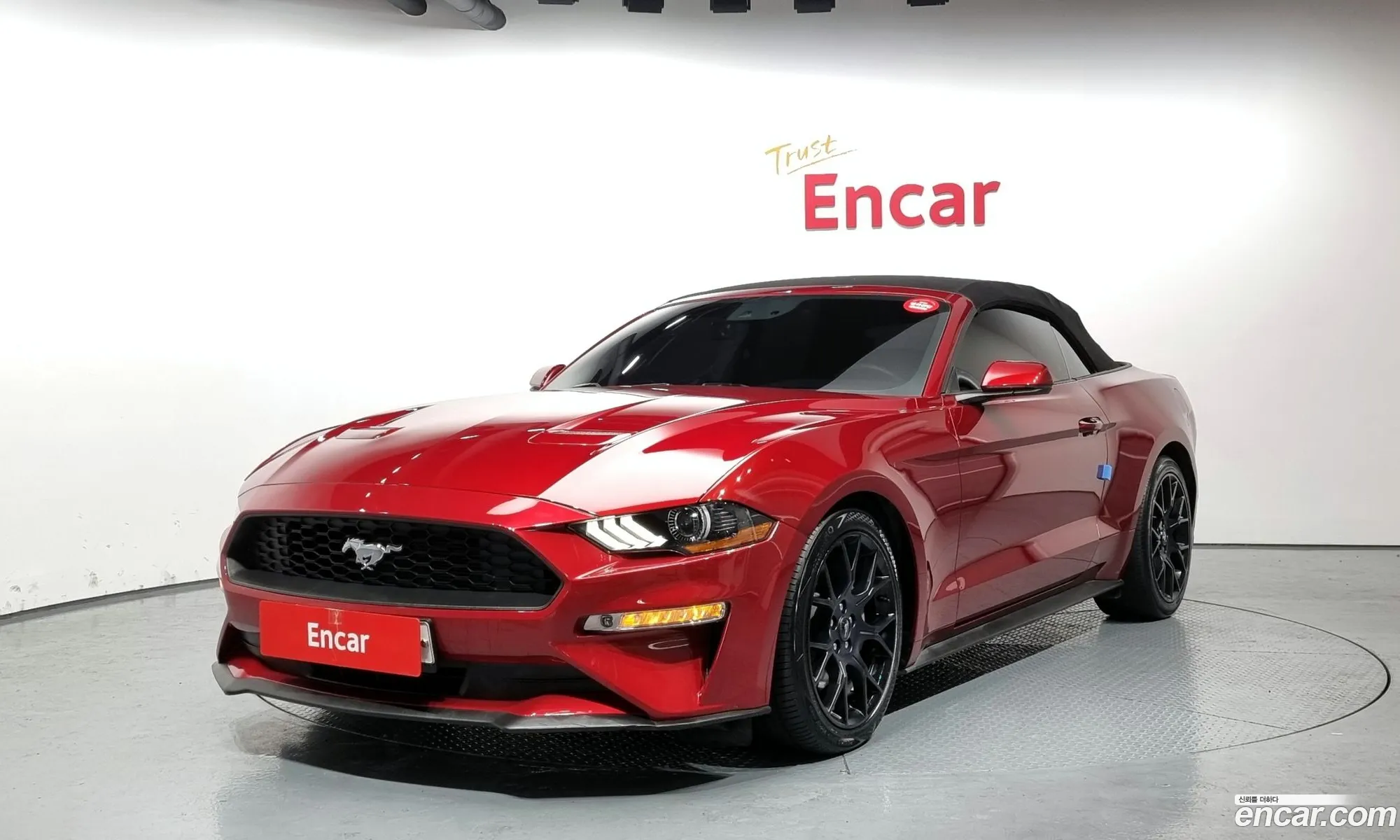 Mustang Converter - фотография 4179995
