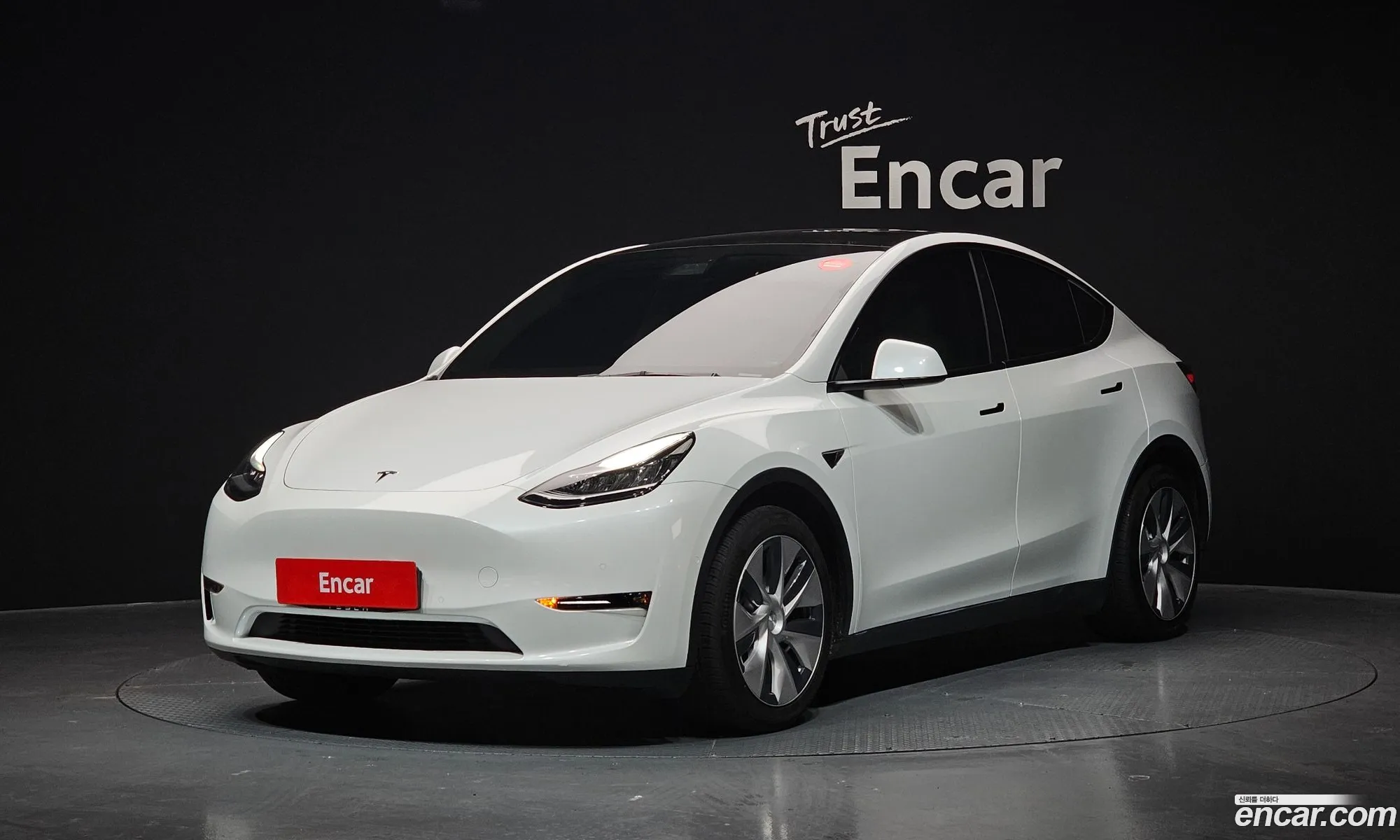 Model Y Standard Range - фотография 3482662