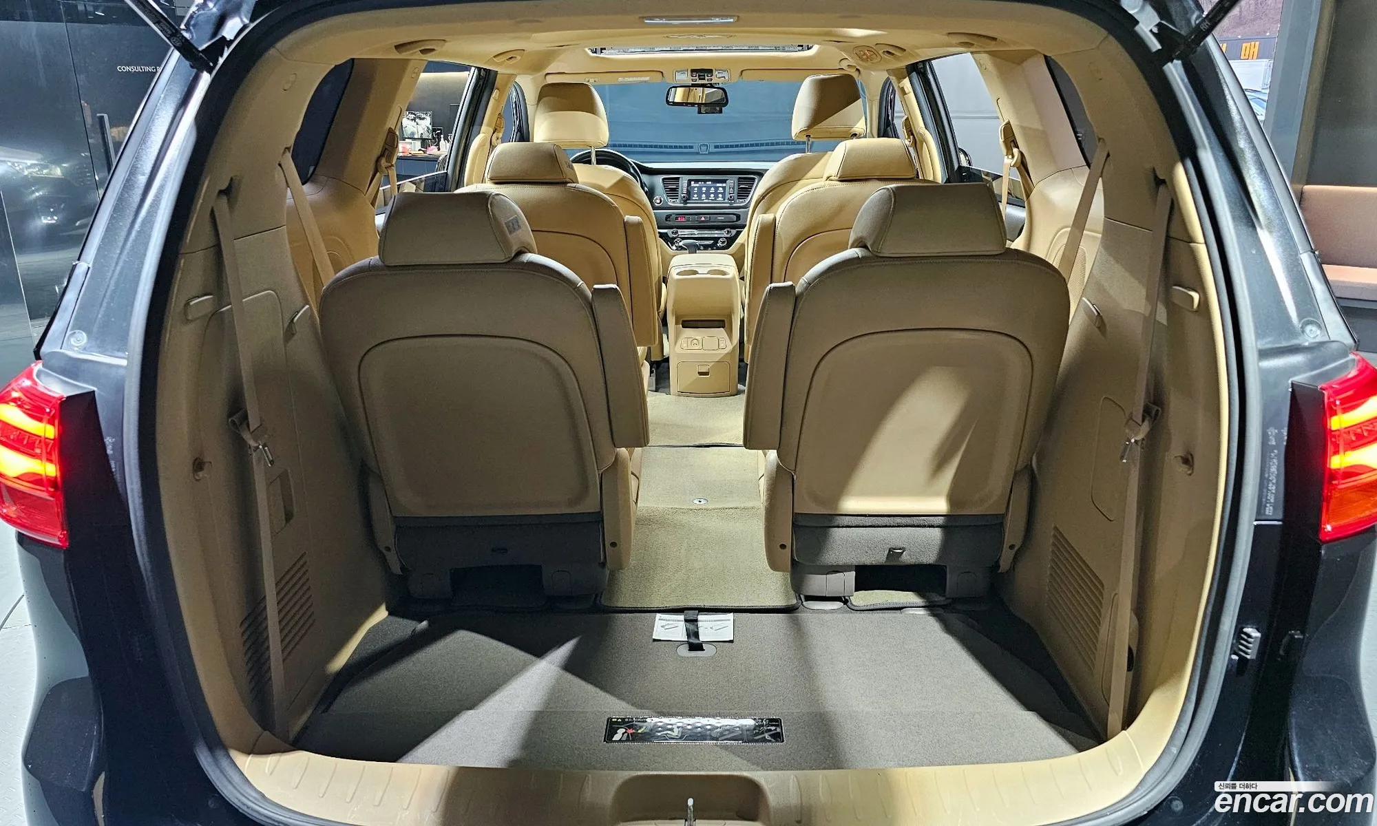The New Carnival 9 -Seater Luxury - фотография 11338797