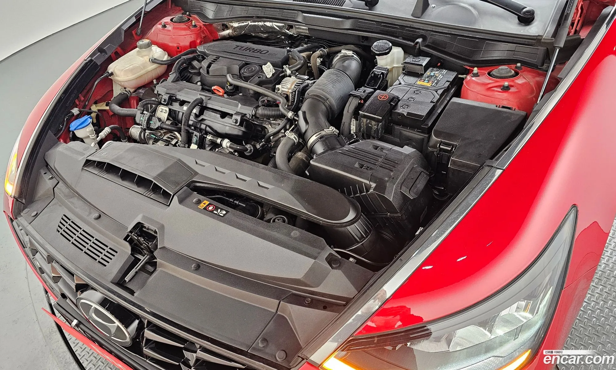 Korex Auto Trade - фотография 14011597