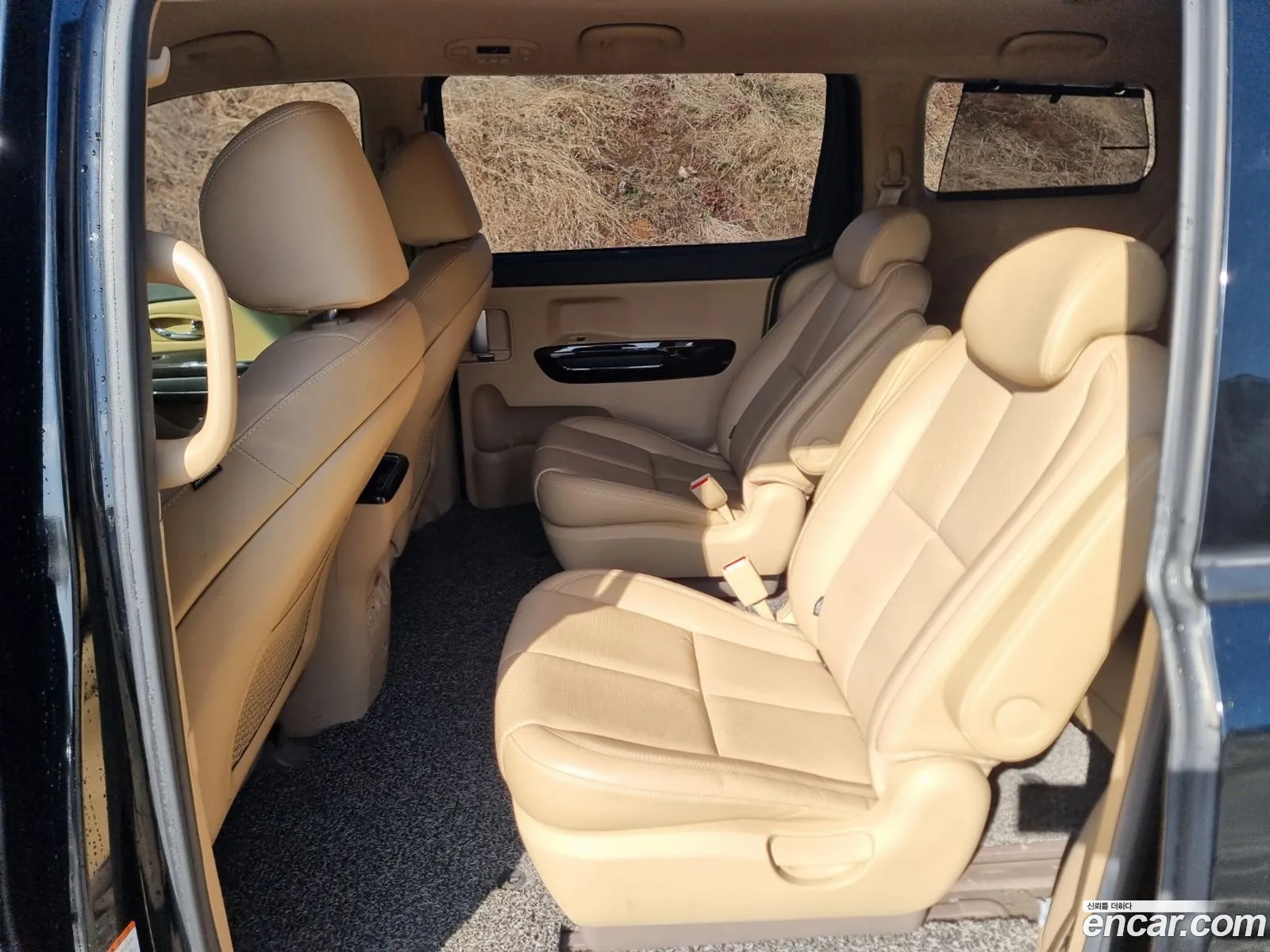 The New Carnival 9 -Seater Noblesse Special - фотография 18674190