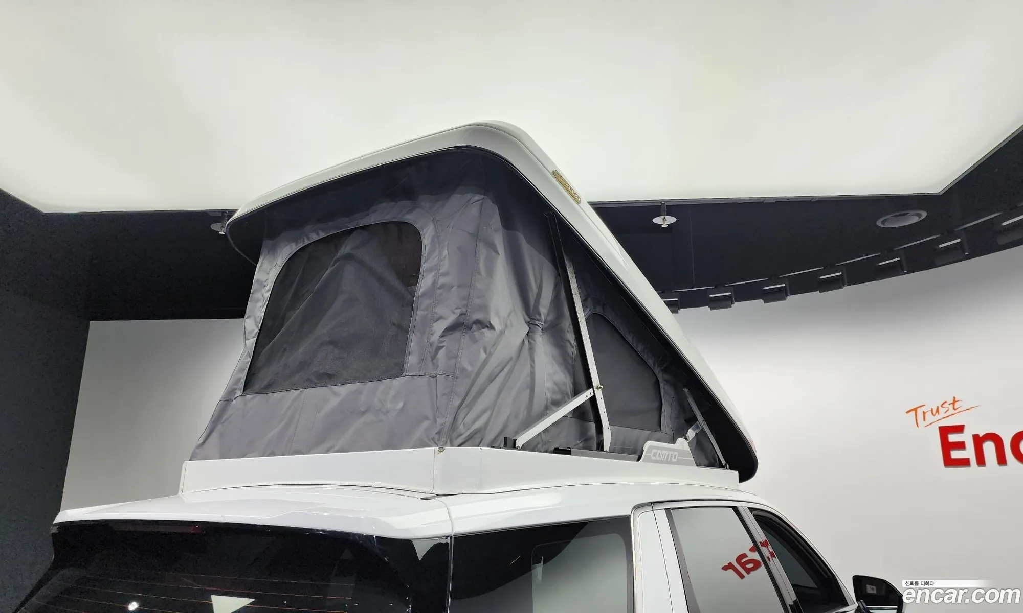 Palisade Camping Car Guitar Camping Car - фотография 297826