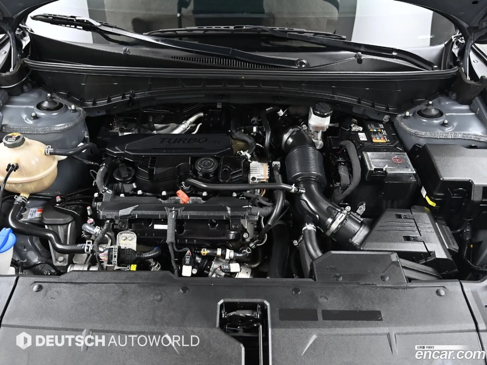 Korex Auto Trade - фотография 15773063