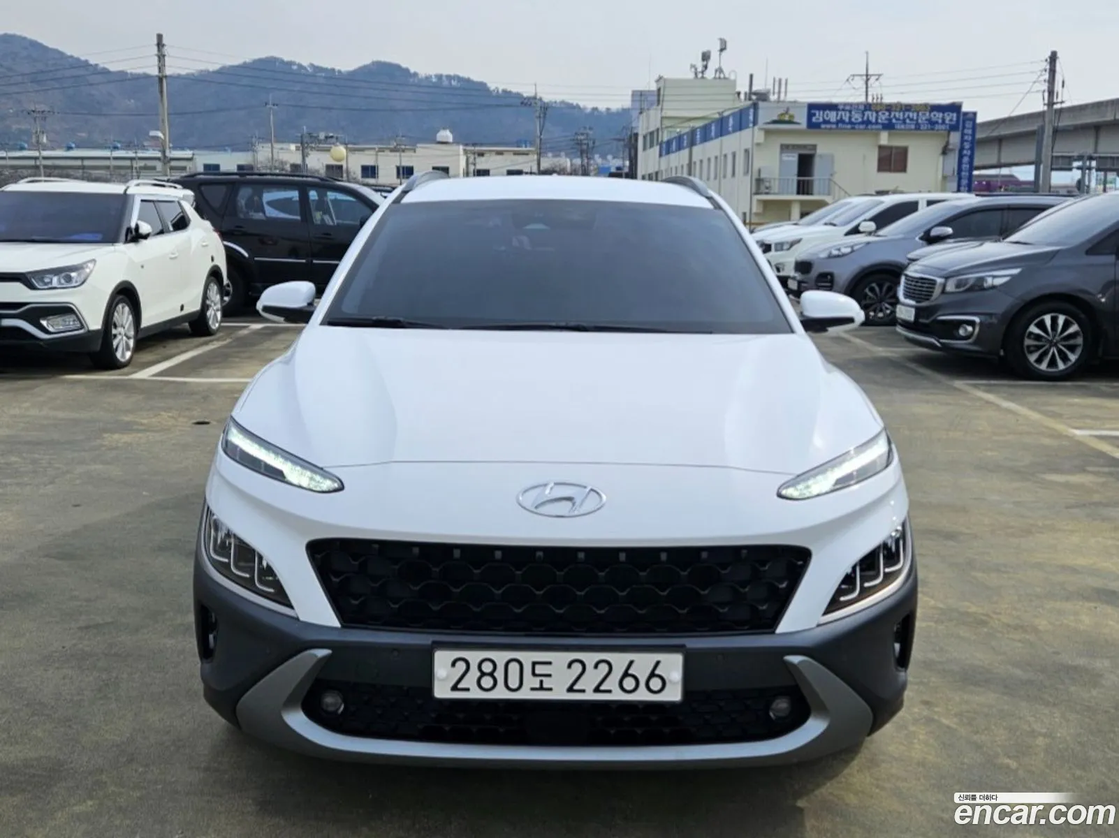 Korex Auto Trade - фотография 16923123