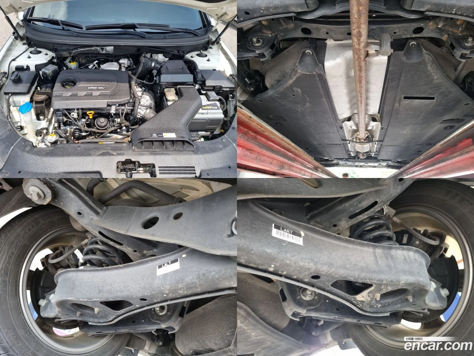 Korex Auto Trade - фотография 16413994