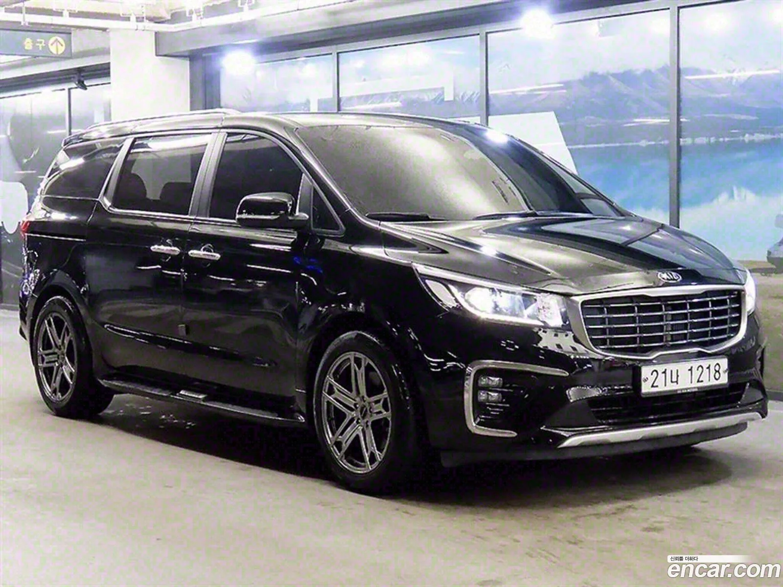 The New Carnival 9 -Seater Luxury - фотография 18906777