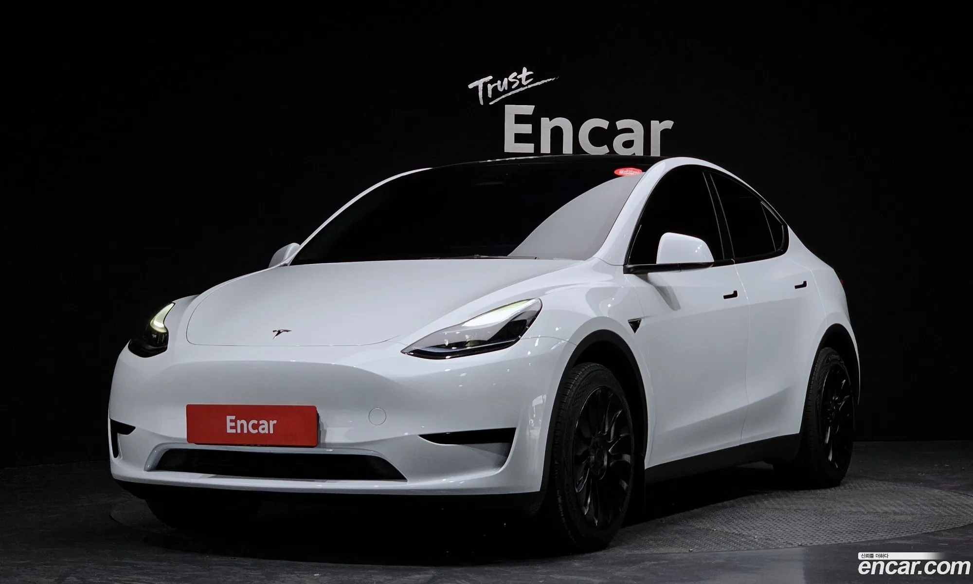 Model Y Rwd - фотография 3482023