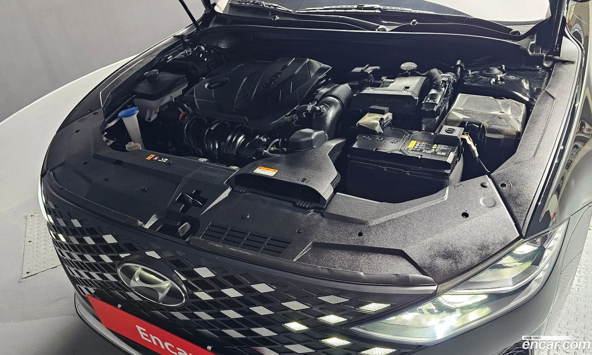 Korex Auto Trade - фотография 13477265