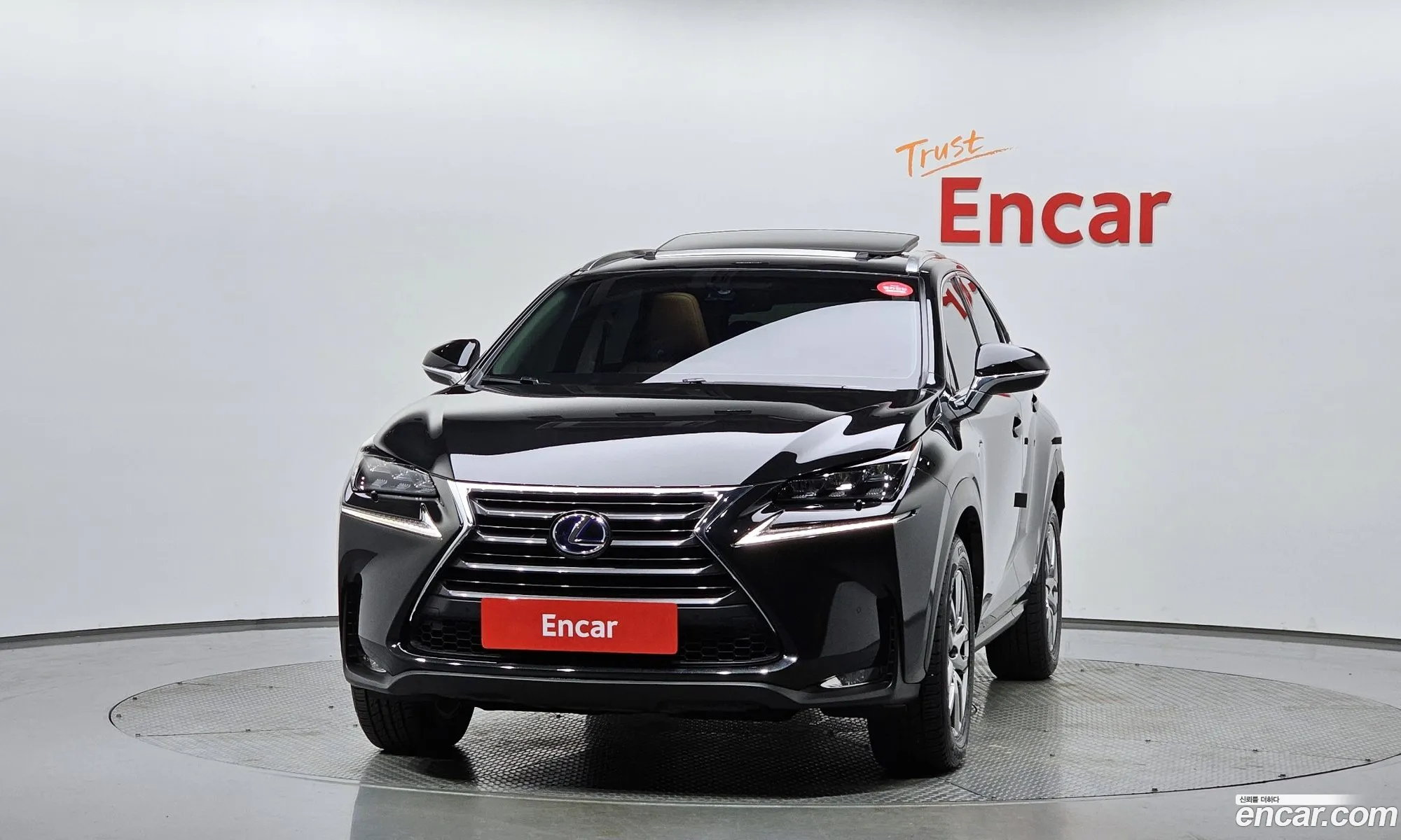 Korex Auto Trade - фотография 3729654