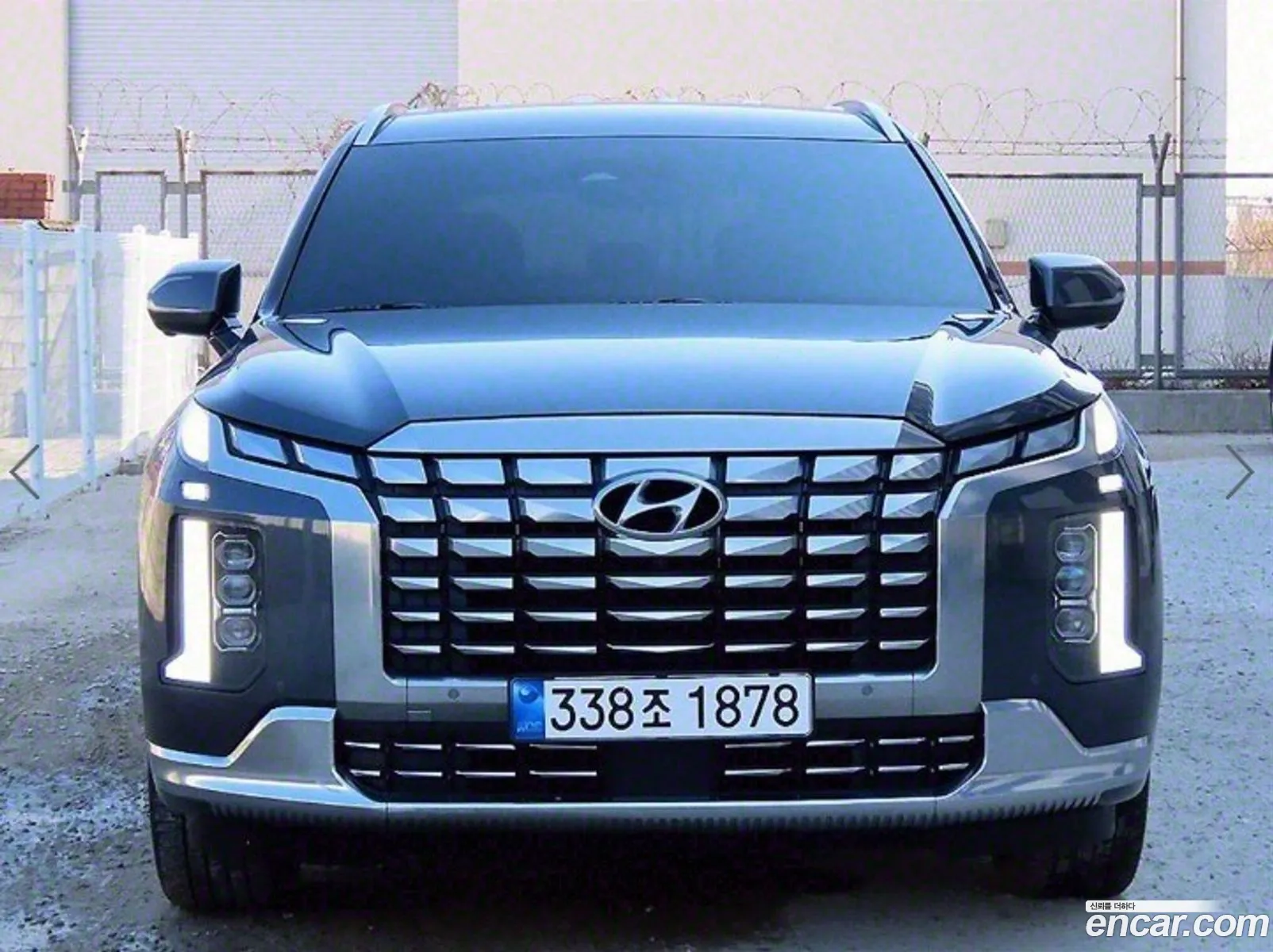 The New Palisade Gasoline 38 4Wd Calligraphy - фотография 14002175