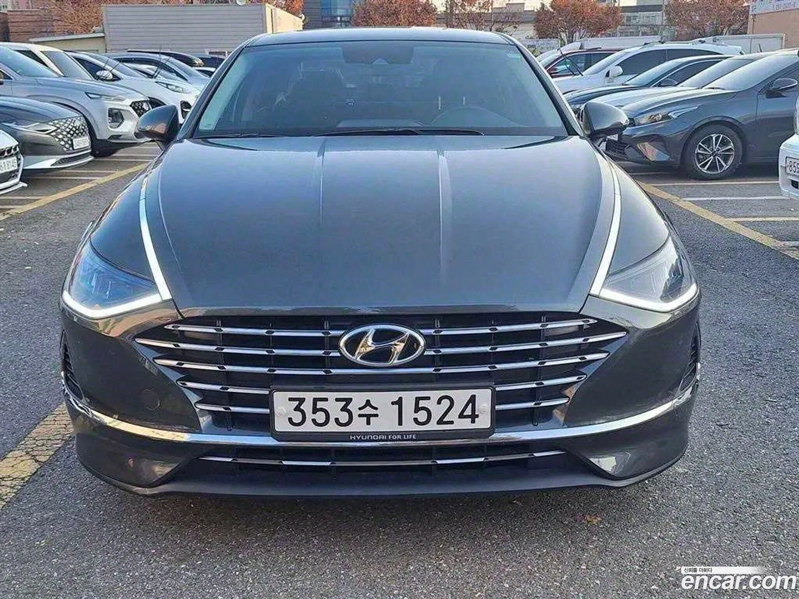 Sonata Hybrid Dn8 Premium - фотография 11764928
