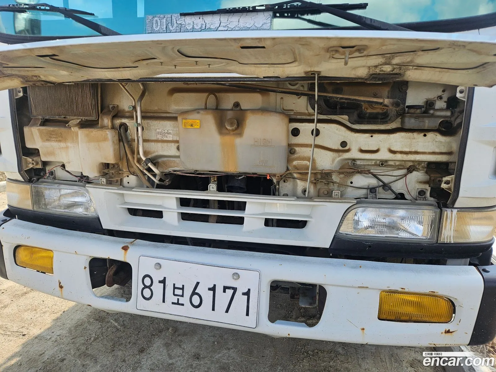 Korex Auto Trade - фотография 13402594