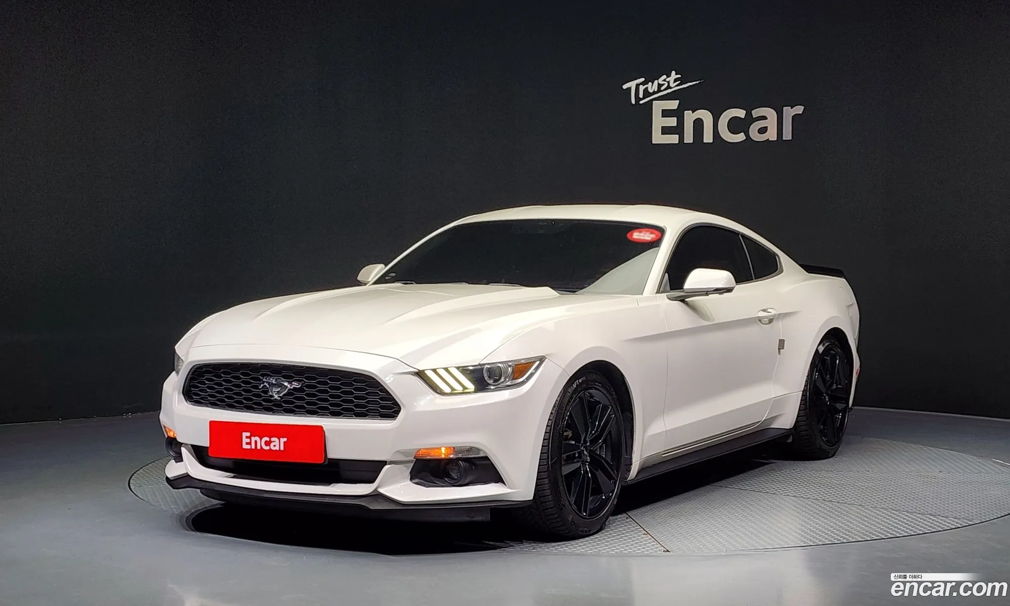 Mustang Coupe - фотография 3722800