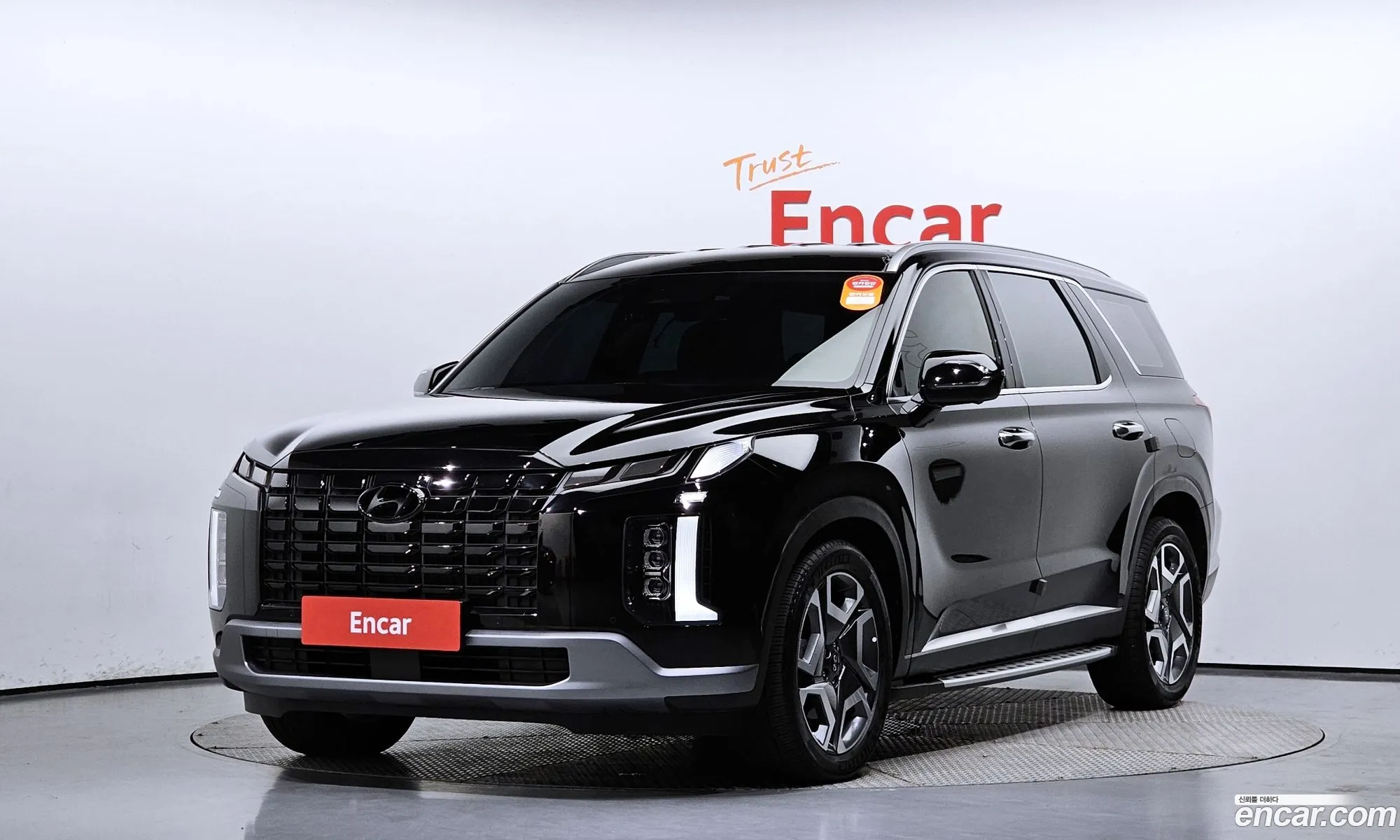 The New Palisade Gasoline 38 4Wd Prestige - фотография 11281222