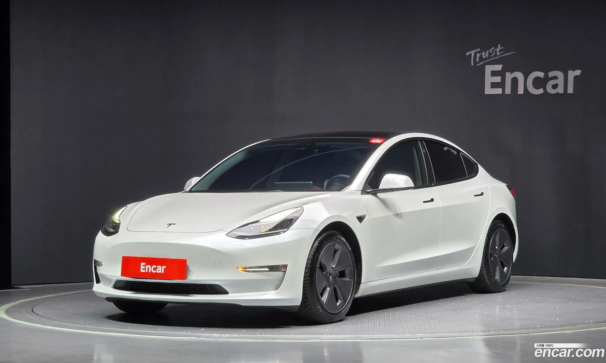 Model 3 Long Range - фотография 3509330