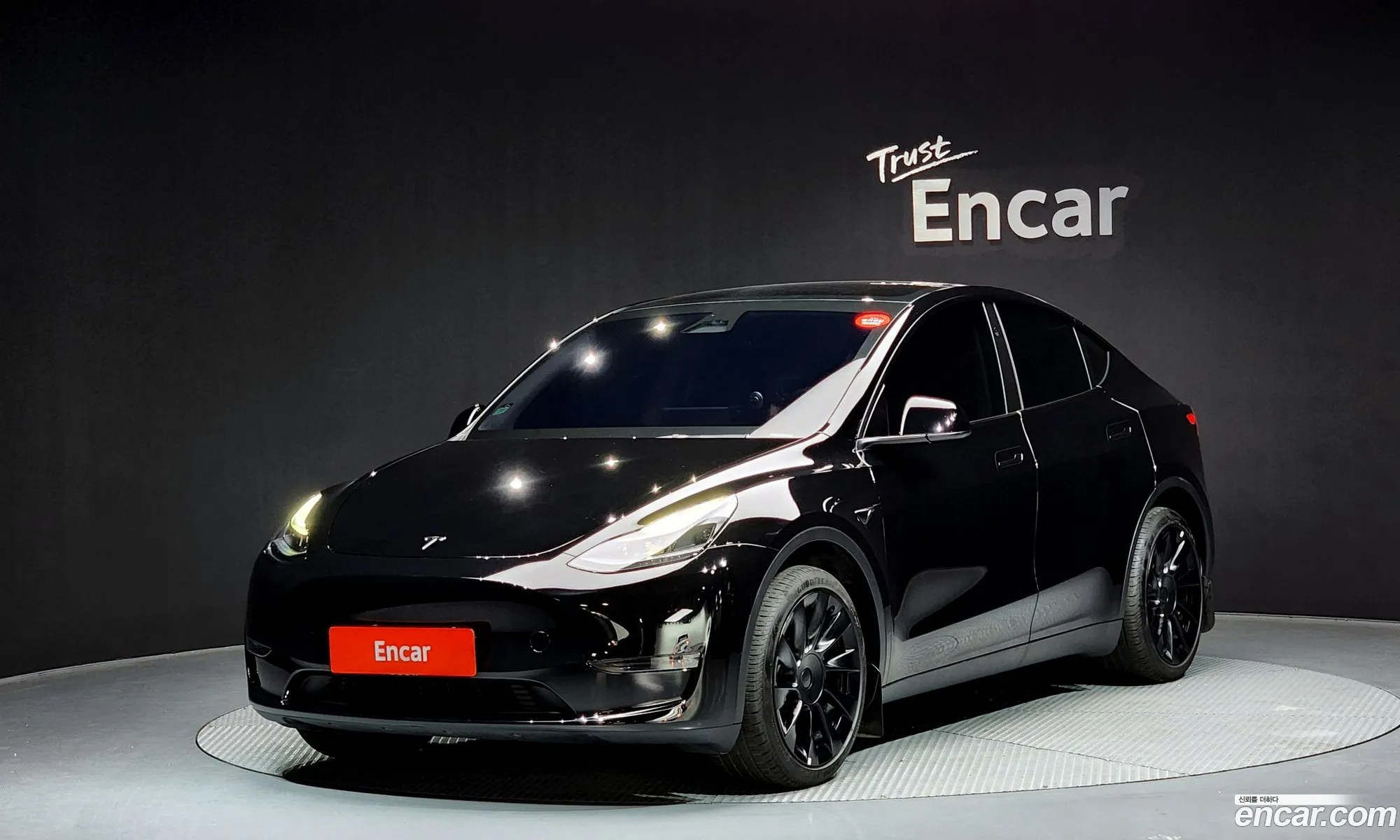 Model Y Long Range - фотография 3509500