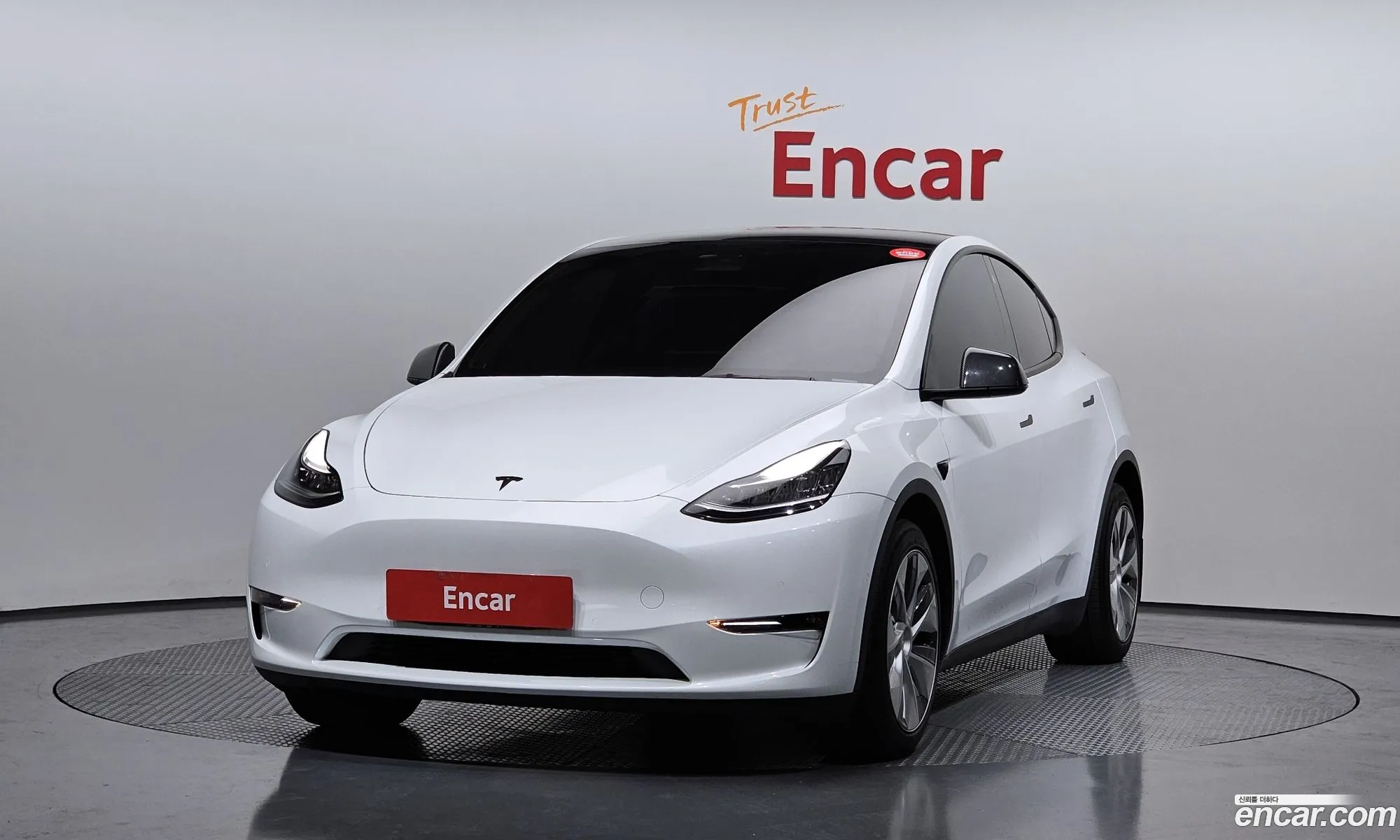 Model Y Long Range - фотография 3506485