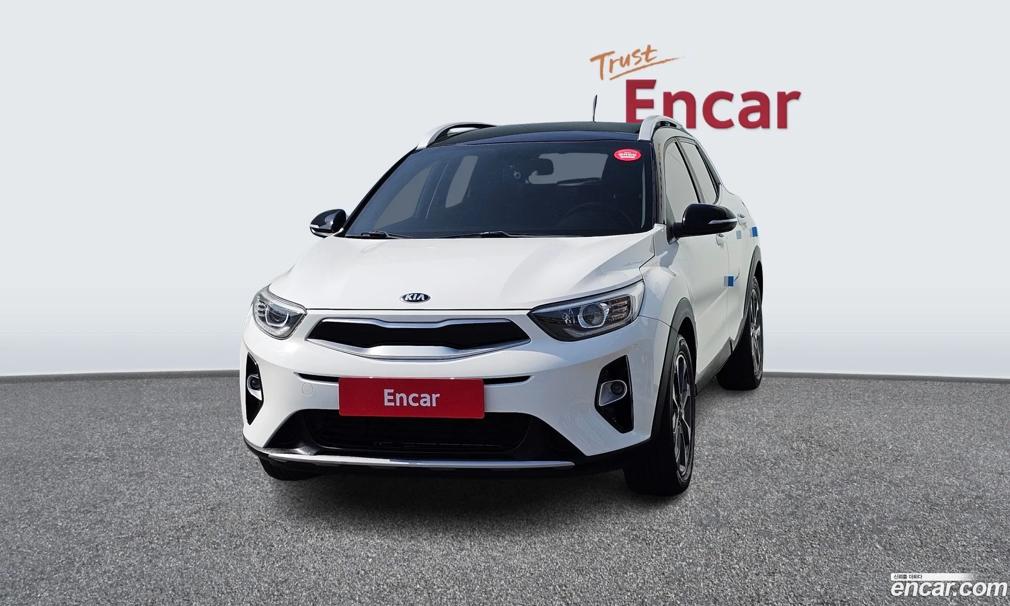 Korex Auto Trade - фотография 16782681