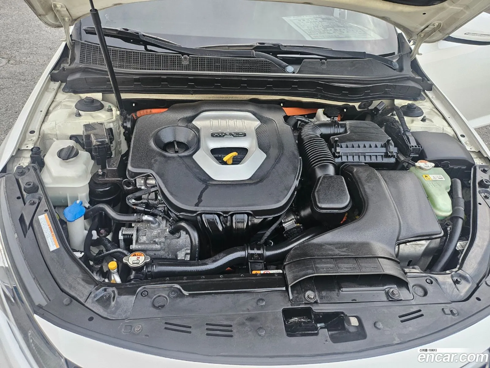 K5 Hybrid Prestige - фотография 17660387