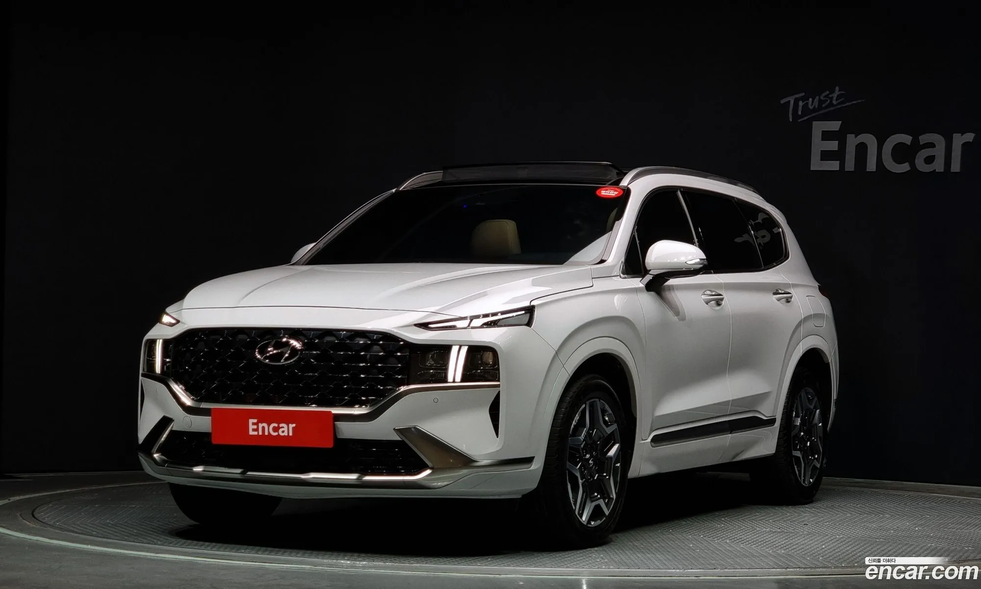 The New Santa Fe Hev 16 2Wd Calligraphy - фотография 11825967