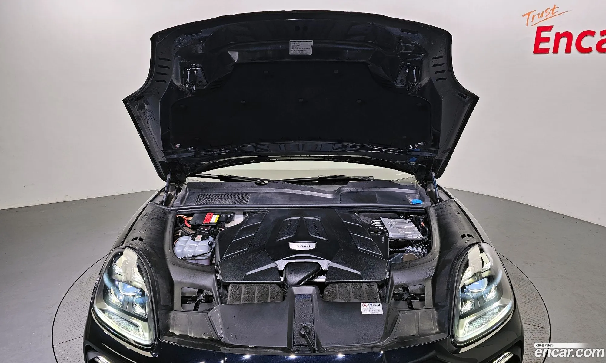 Korex Auto Trade - фотография 4591810