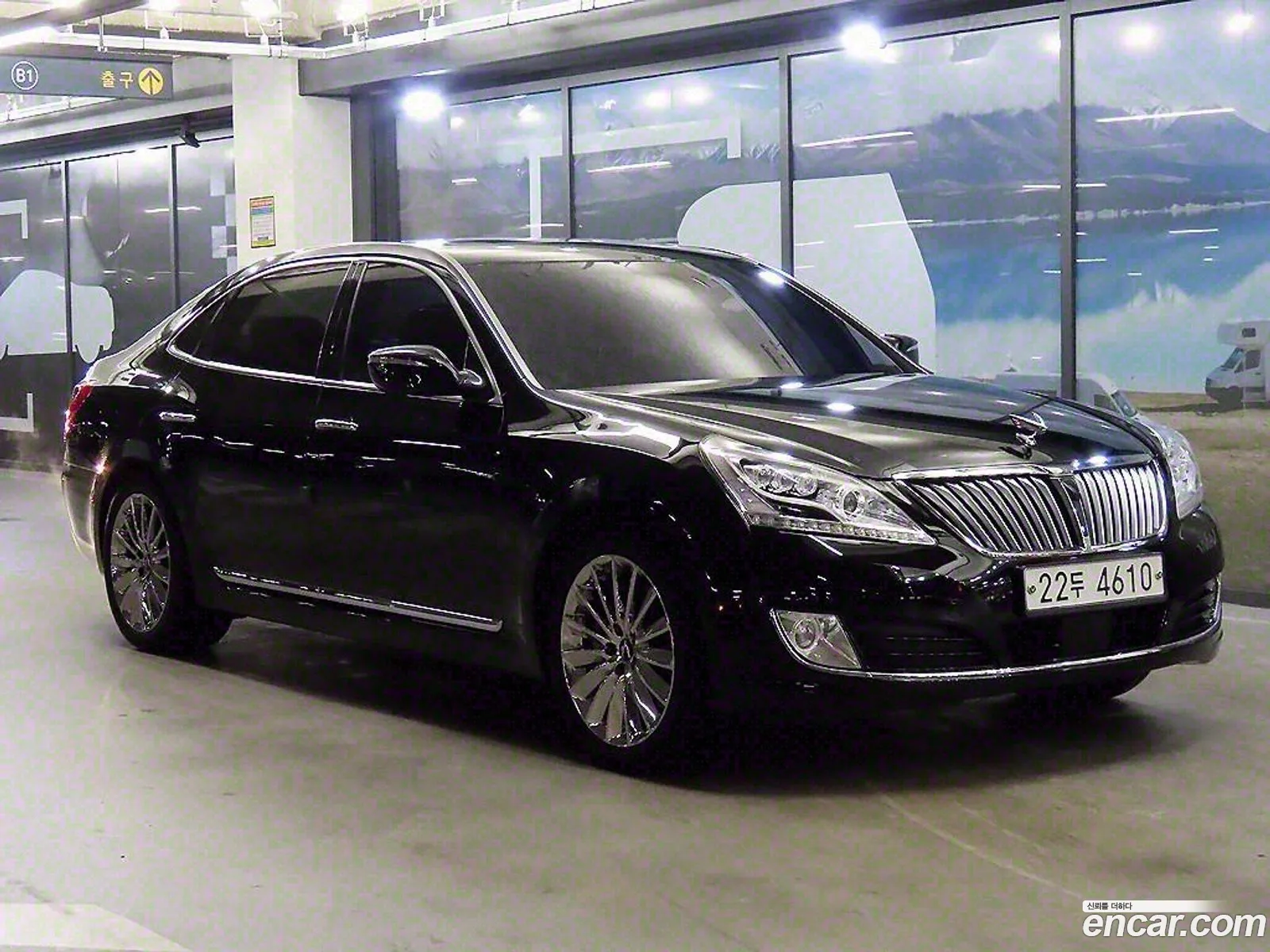 Equus New Vs500 Prestige - фотография 11764904