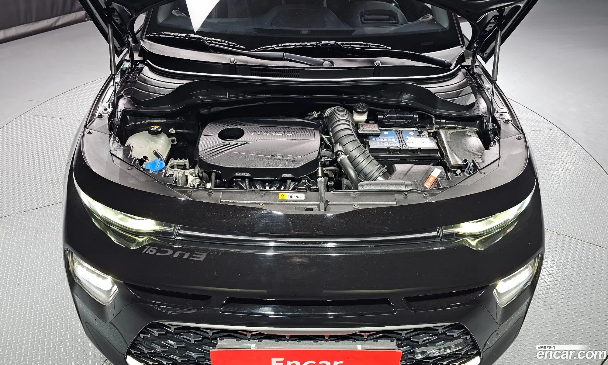 Korex Auto Trade - фотография 13638453