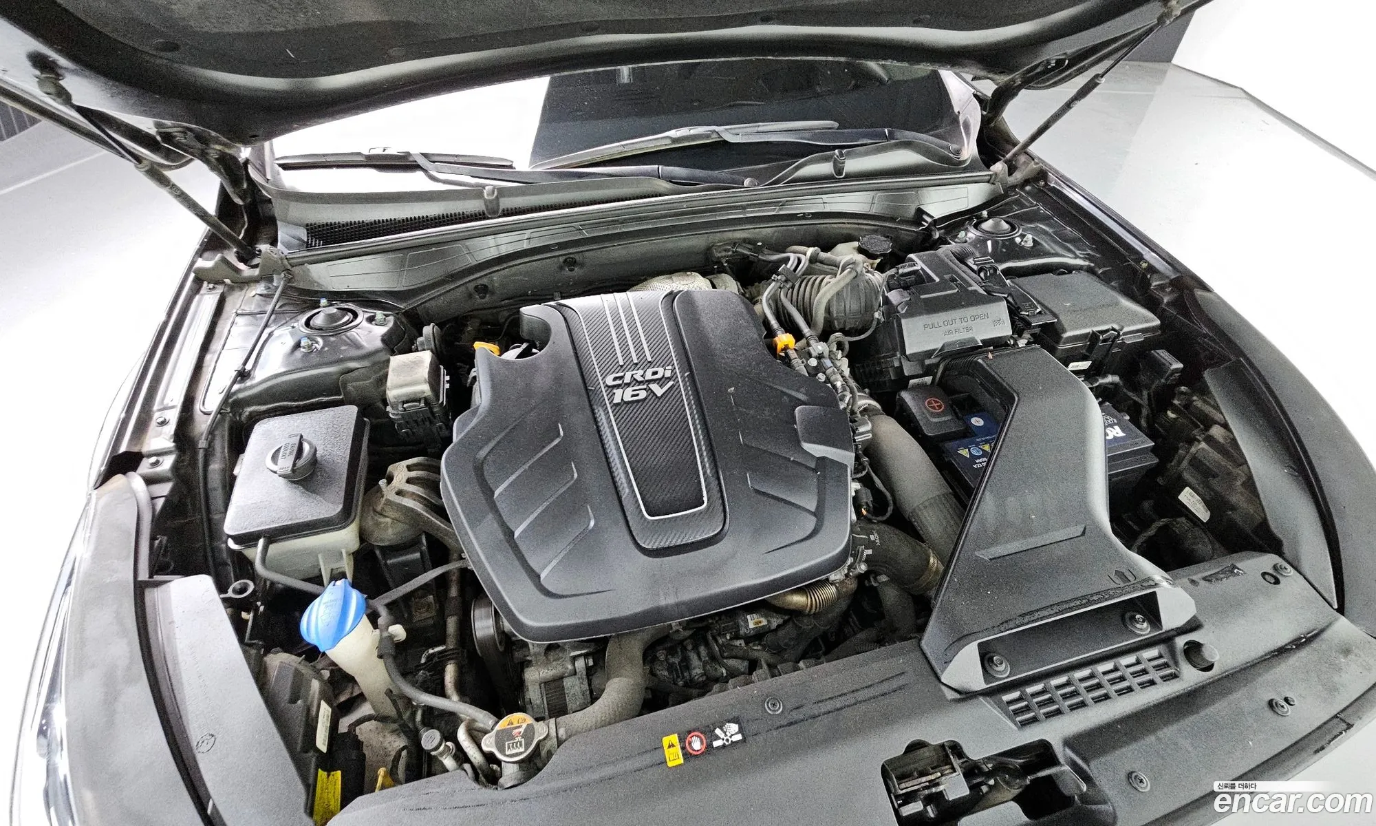 Korex Auto Trade - фотография 11252080