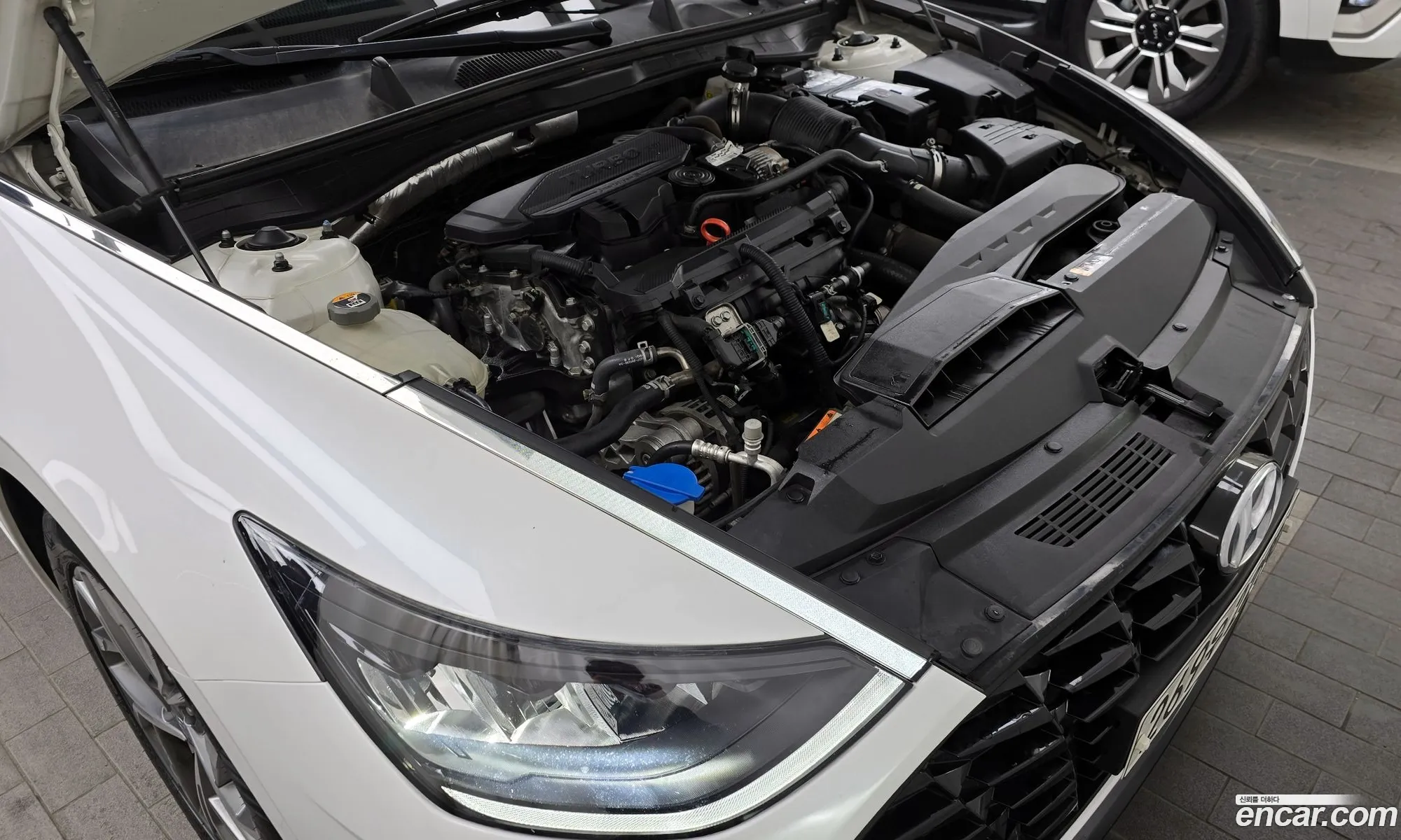 Korex Auto Trade - фотография 11487821