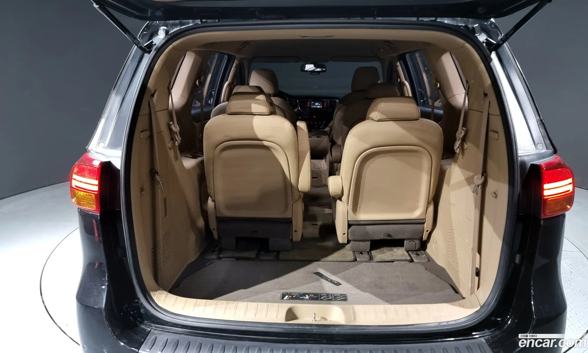 All New Carnival 9 -Seater Luxury - фотография 15172222