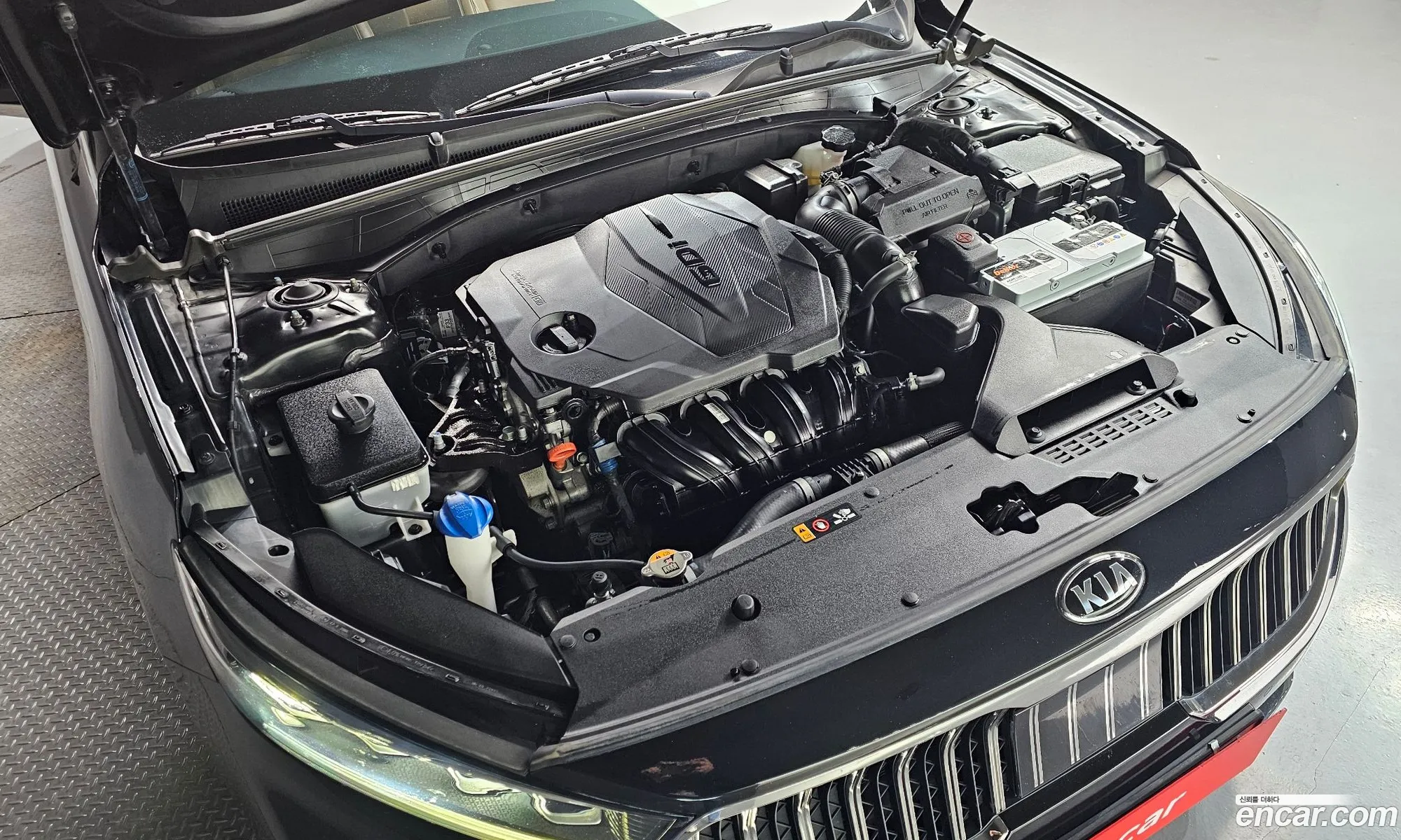 Korex Auto Trade - фотография 11218597