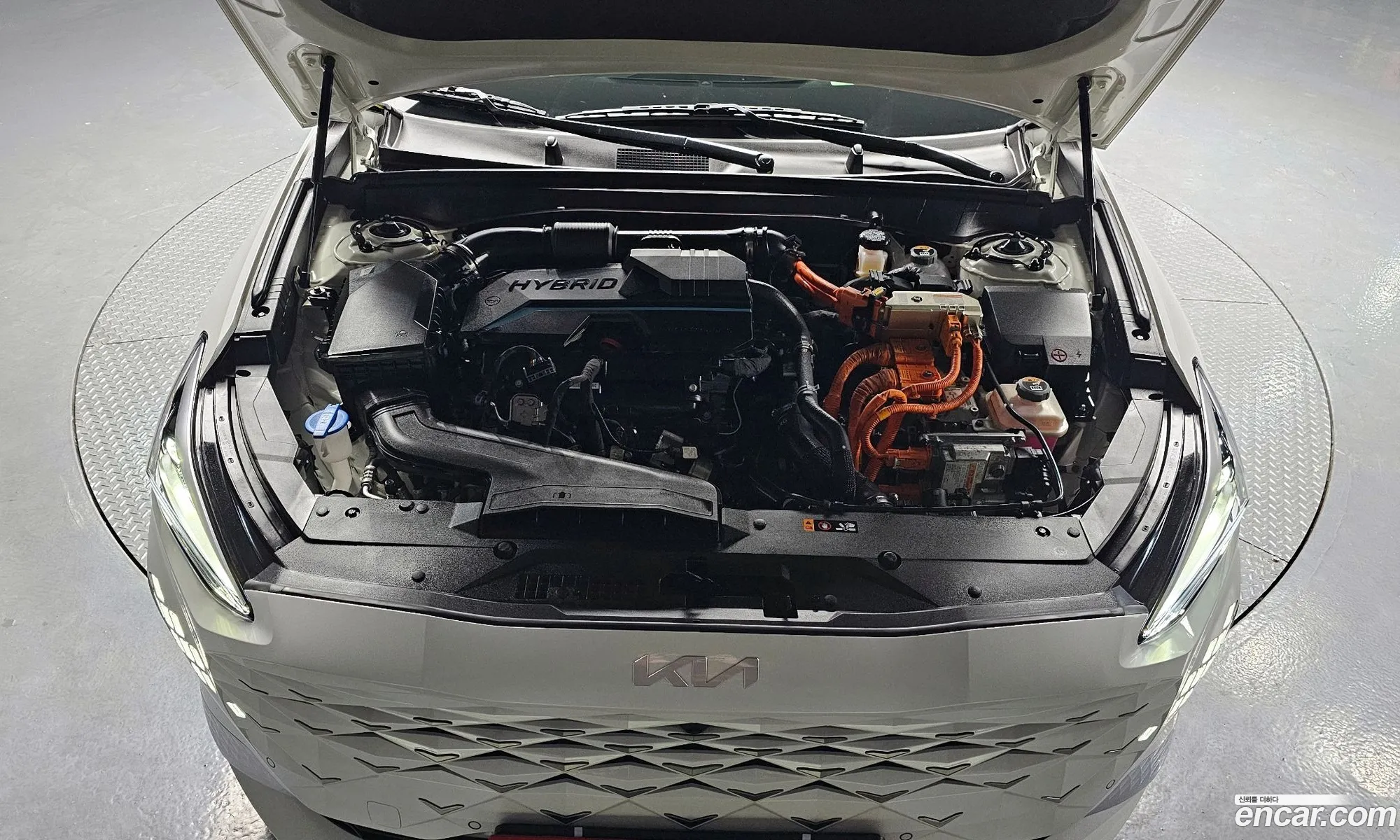 Korex Auto Trade - фотография 14125740