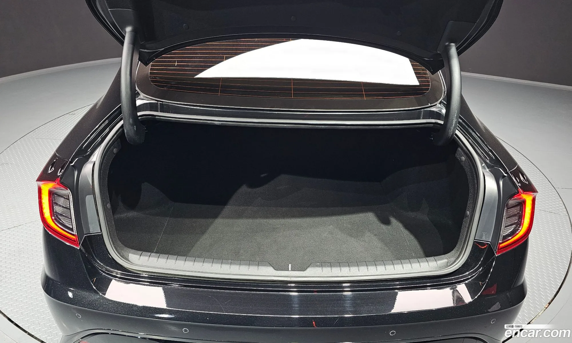 Sonata Dn8 20 Premium Plus - фотография 11343683