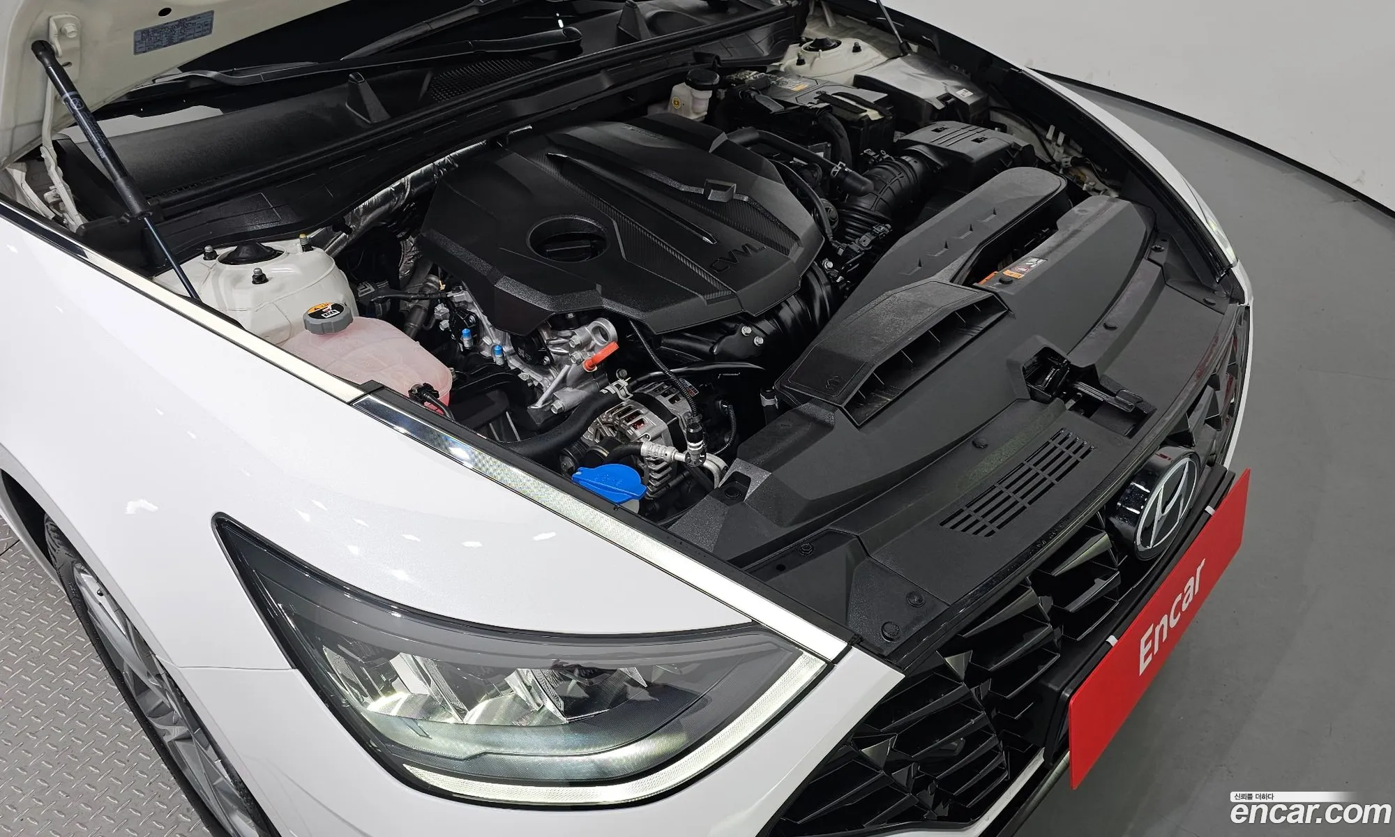 Korex Auto Trade - фотография 11827963