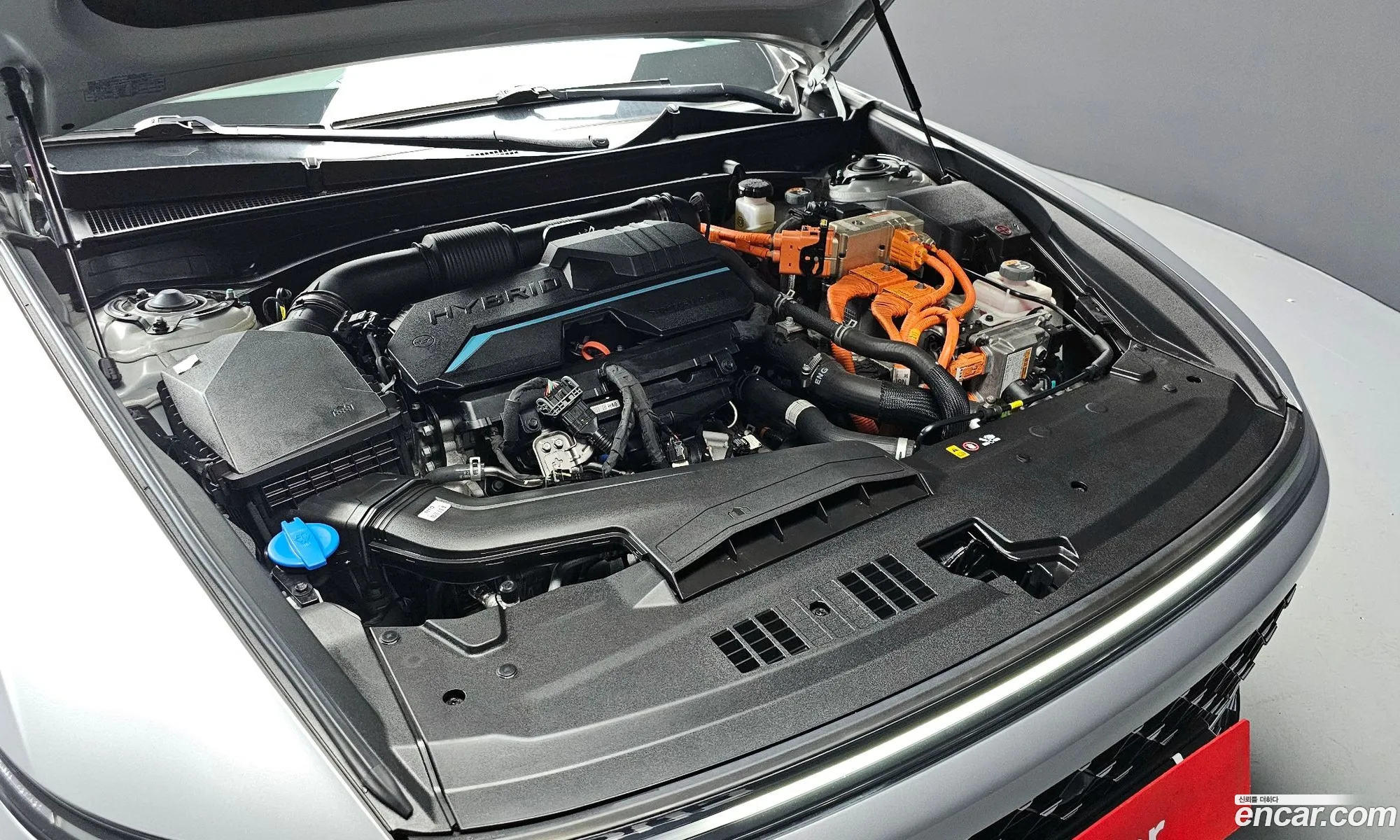 Korex Auto Trade - фотография 11320391