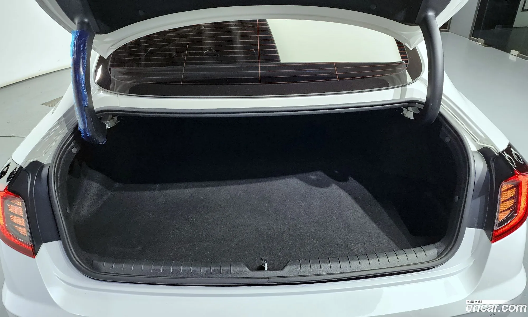 Sonata Dn8 20 Lpg For Rental Style - фотография 11341537