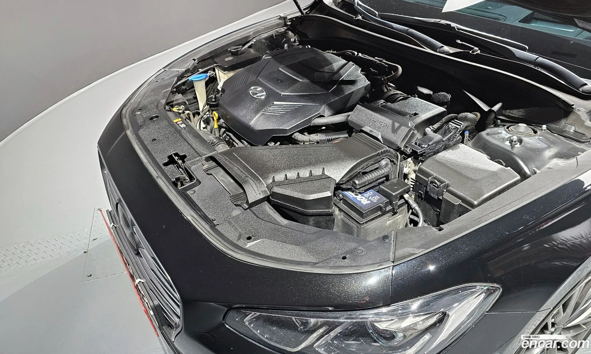 Korex Auto Trade - фотография 11824411