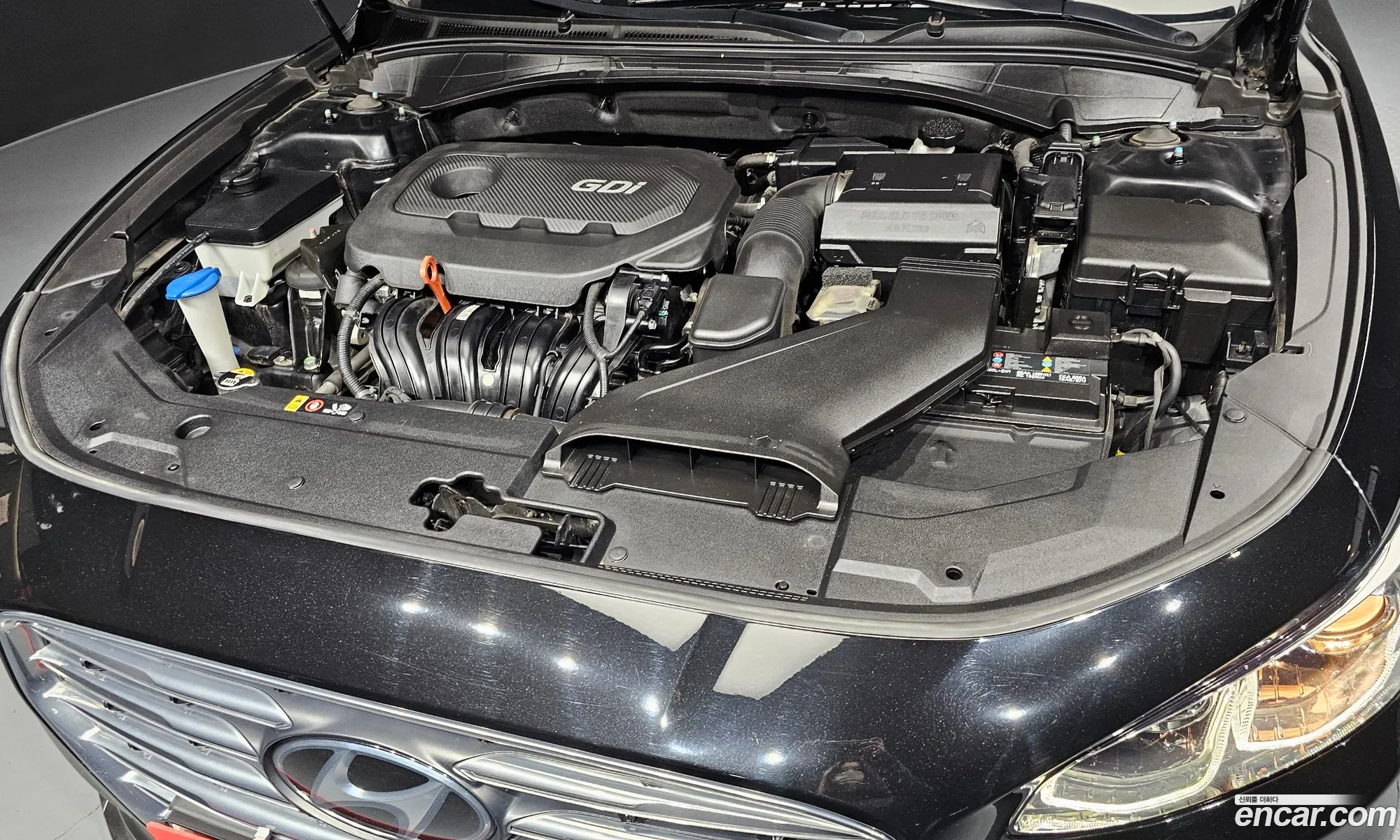 Korex Auto Trade - фотография 11394688