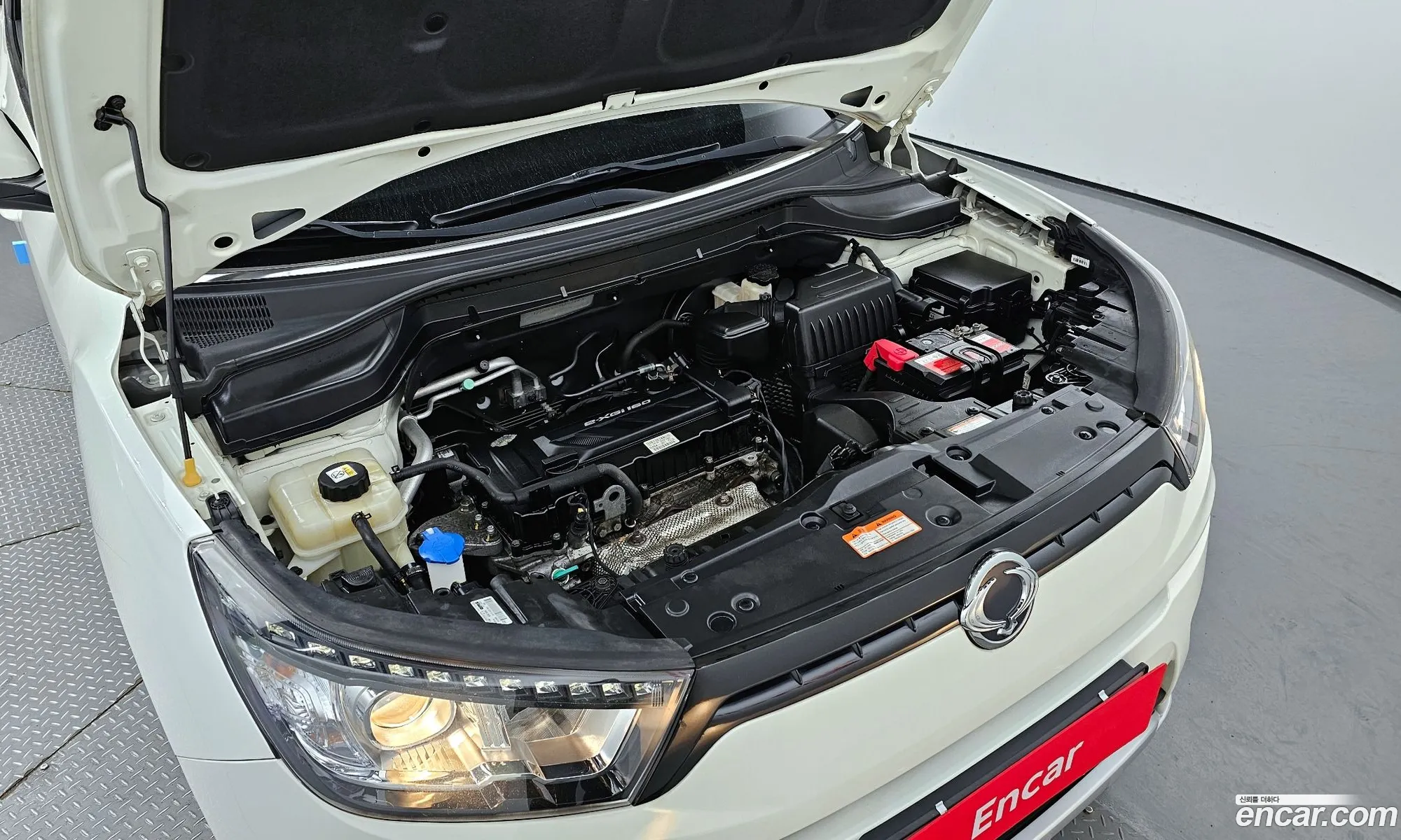Korex Auto Trade - фотография 18723418