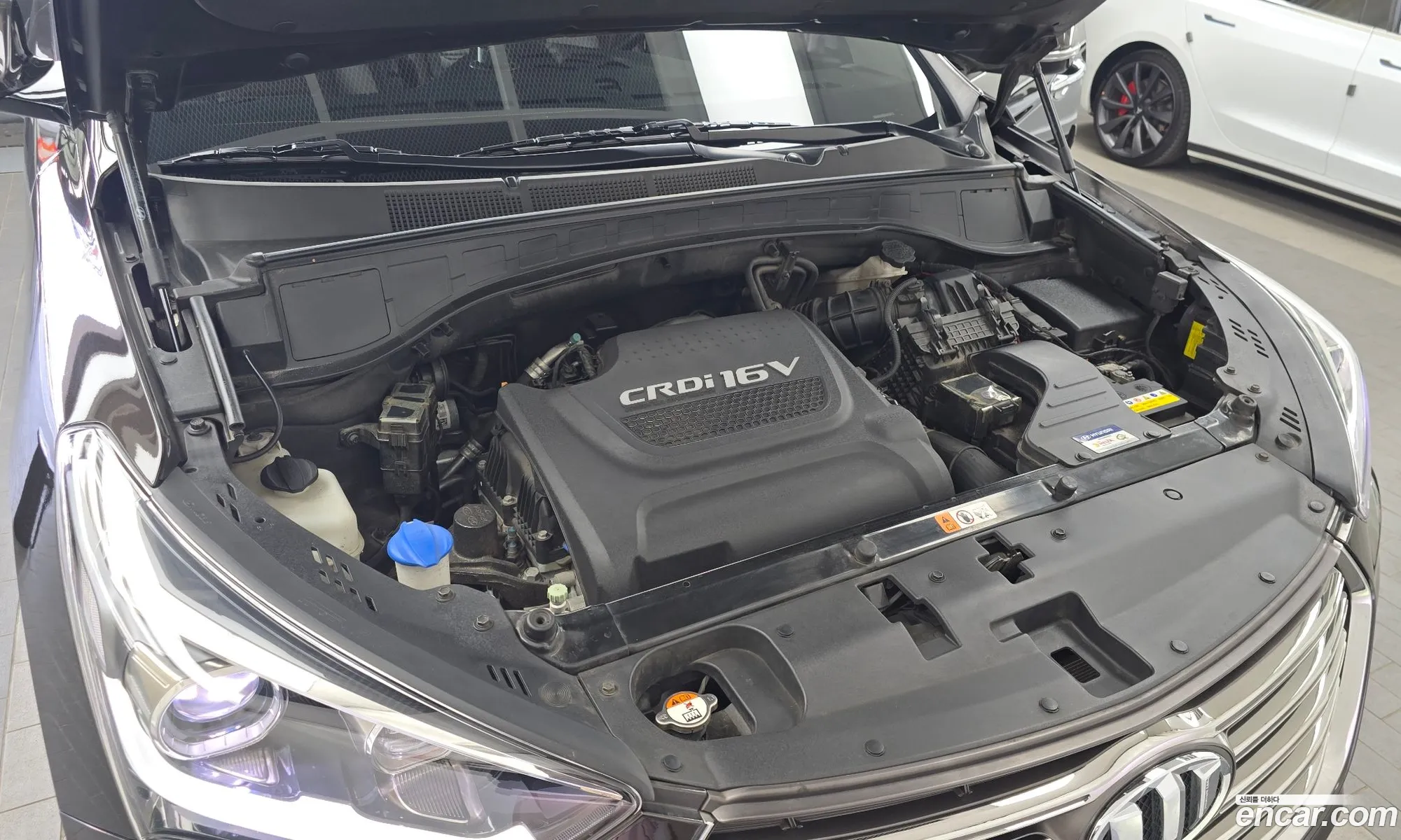 Korex Auto Trade - фотография 11799657